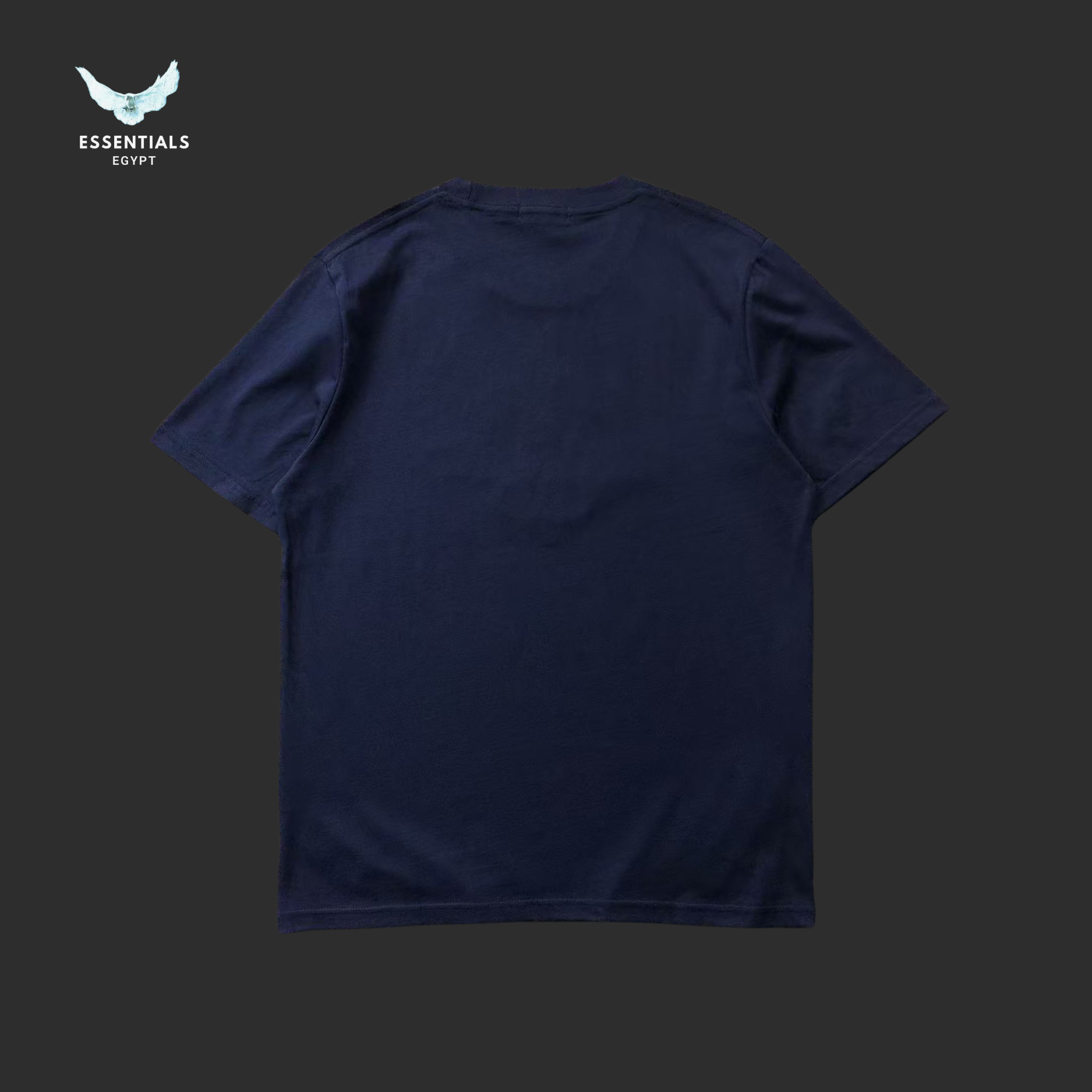 Ralph Lauren T-Shirt – Polo Athletic Club