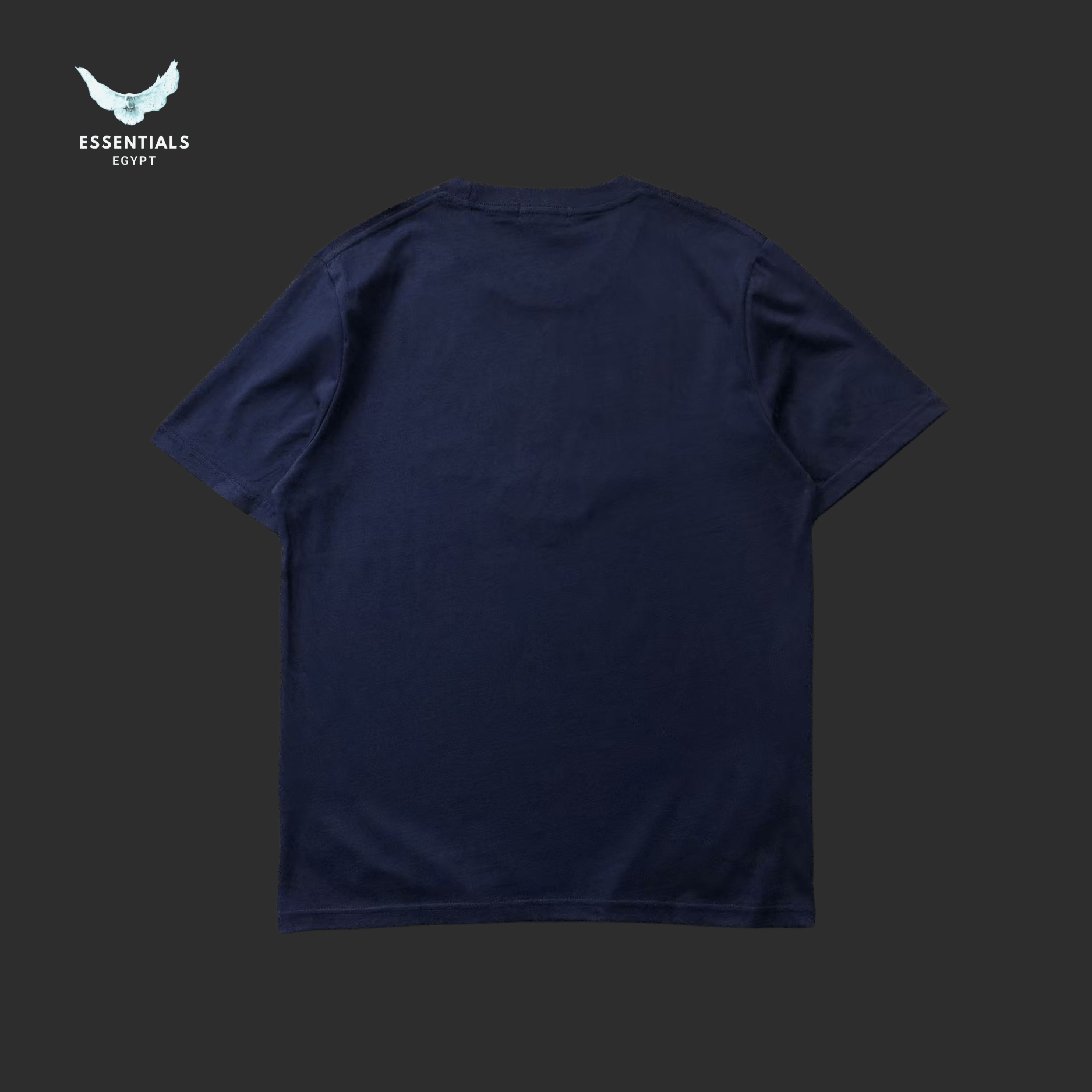 Ralph Lauren T-Shirt – Polo Athletic Club - ESSENTIALS EGYPT