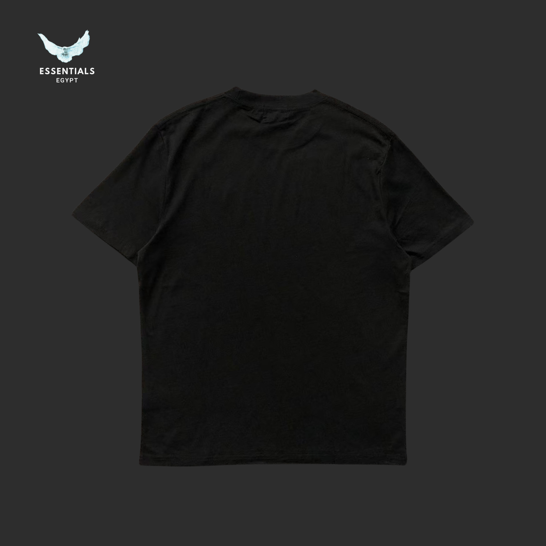 Ralph Lauren T-Shirt – Minimal Pony Logo - ESSENTIALS EGYPT