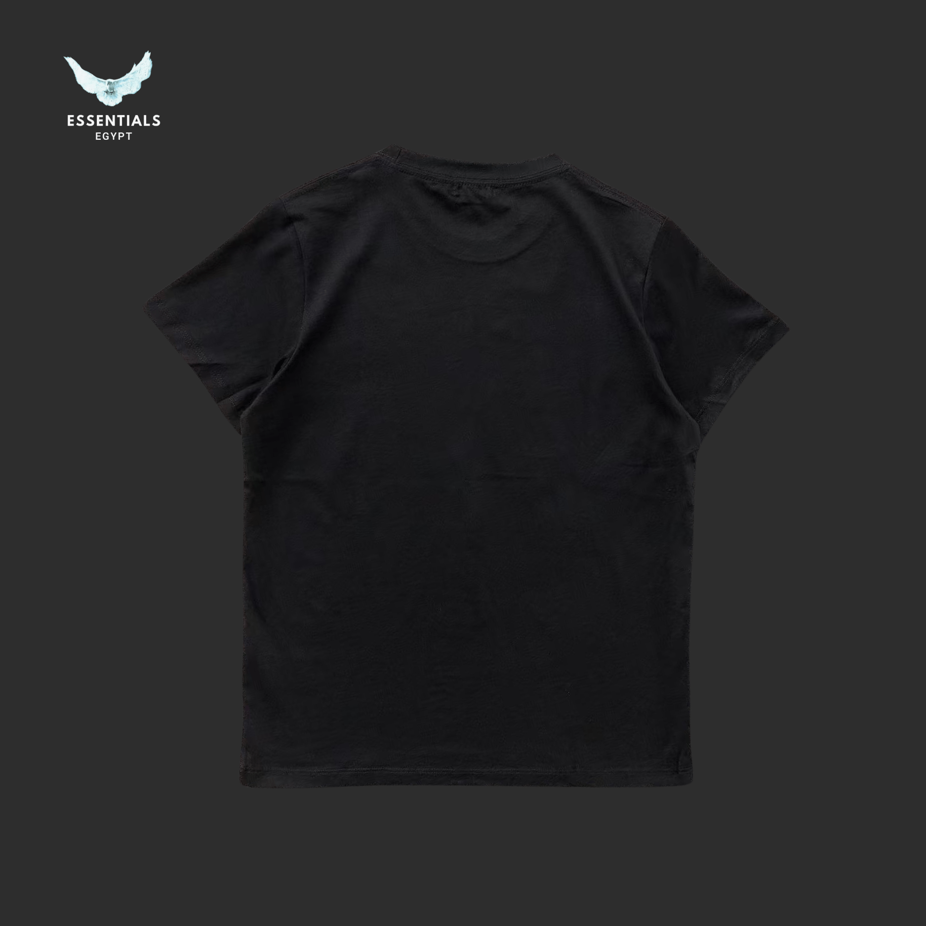 Ralph Lauren T-Shirt – Polo Bear in Trench (Women) - ESSENTIALS EGYPT