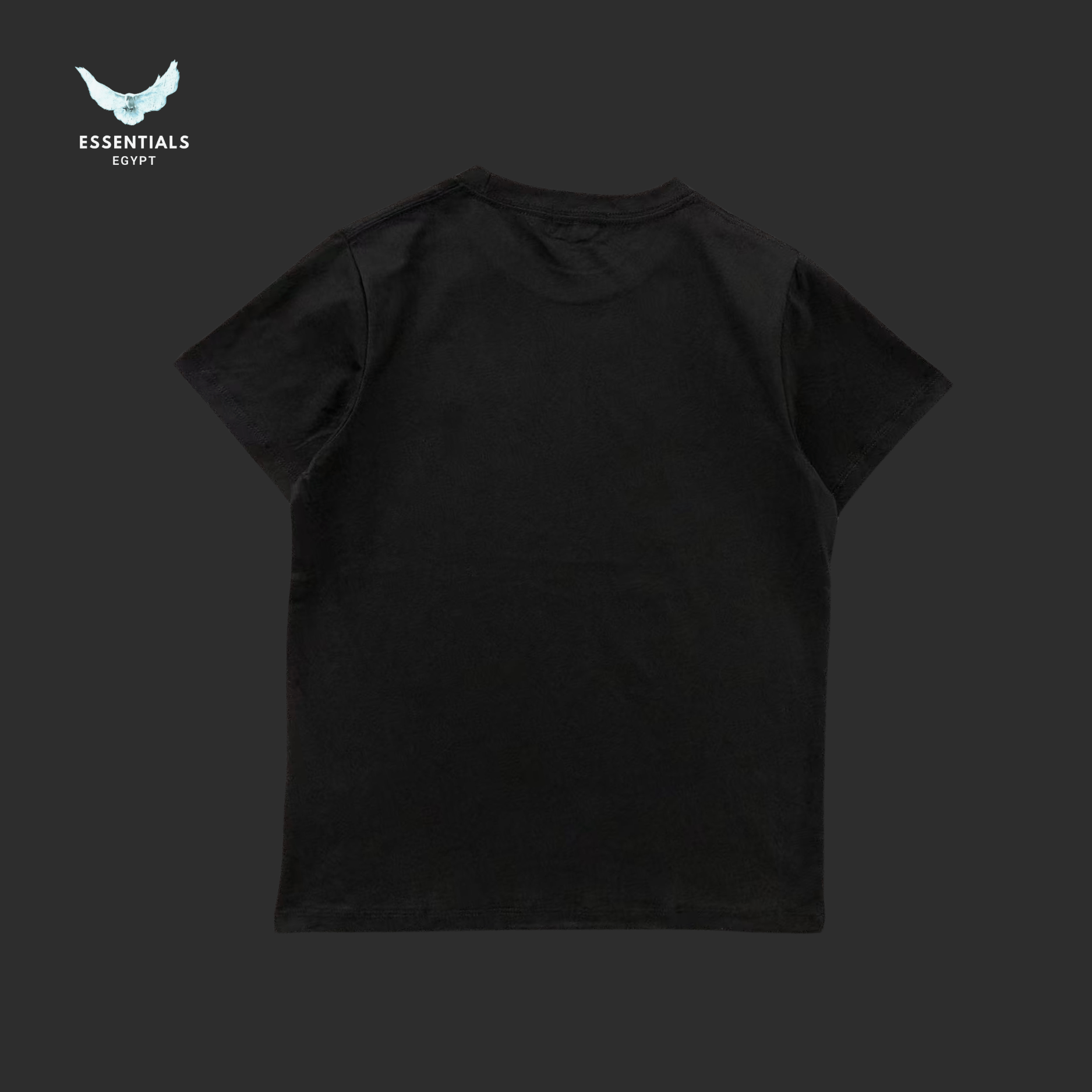 Ralph Lauren T-Shirt – Pony Logo Minimal (Women) - ESSENTIALS EGYPT