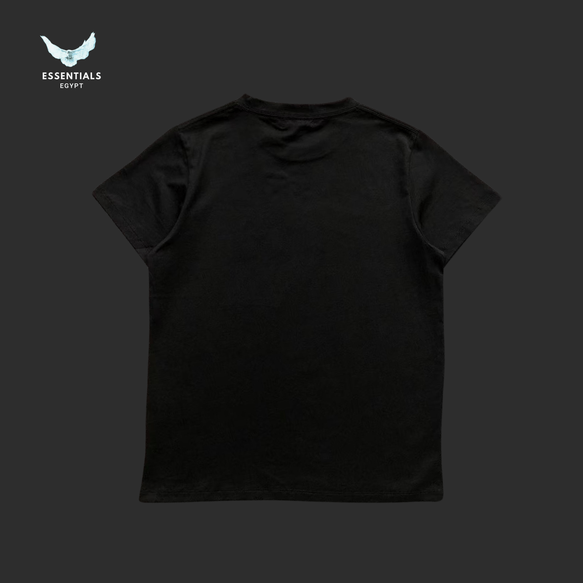 Ralph Lauren T-Shirt – Polo Text Logo (Women) - ESSENTIALS EGYPT