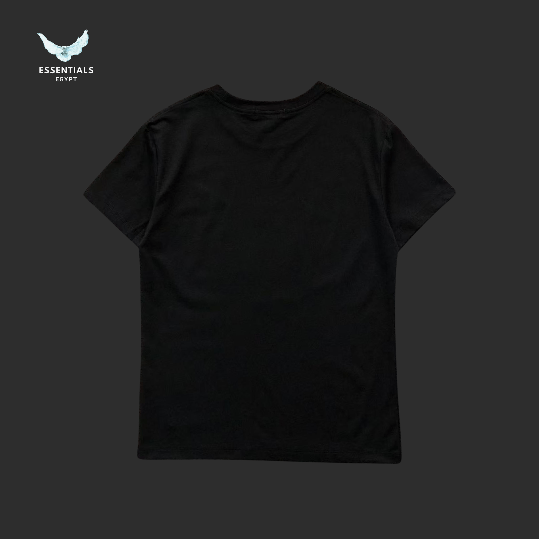 Ralph Lauren T-Shirt – Bear Graphic (Unisex) - ESSENTIALS EGYPT