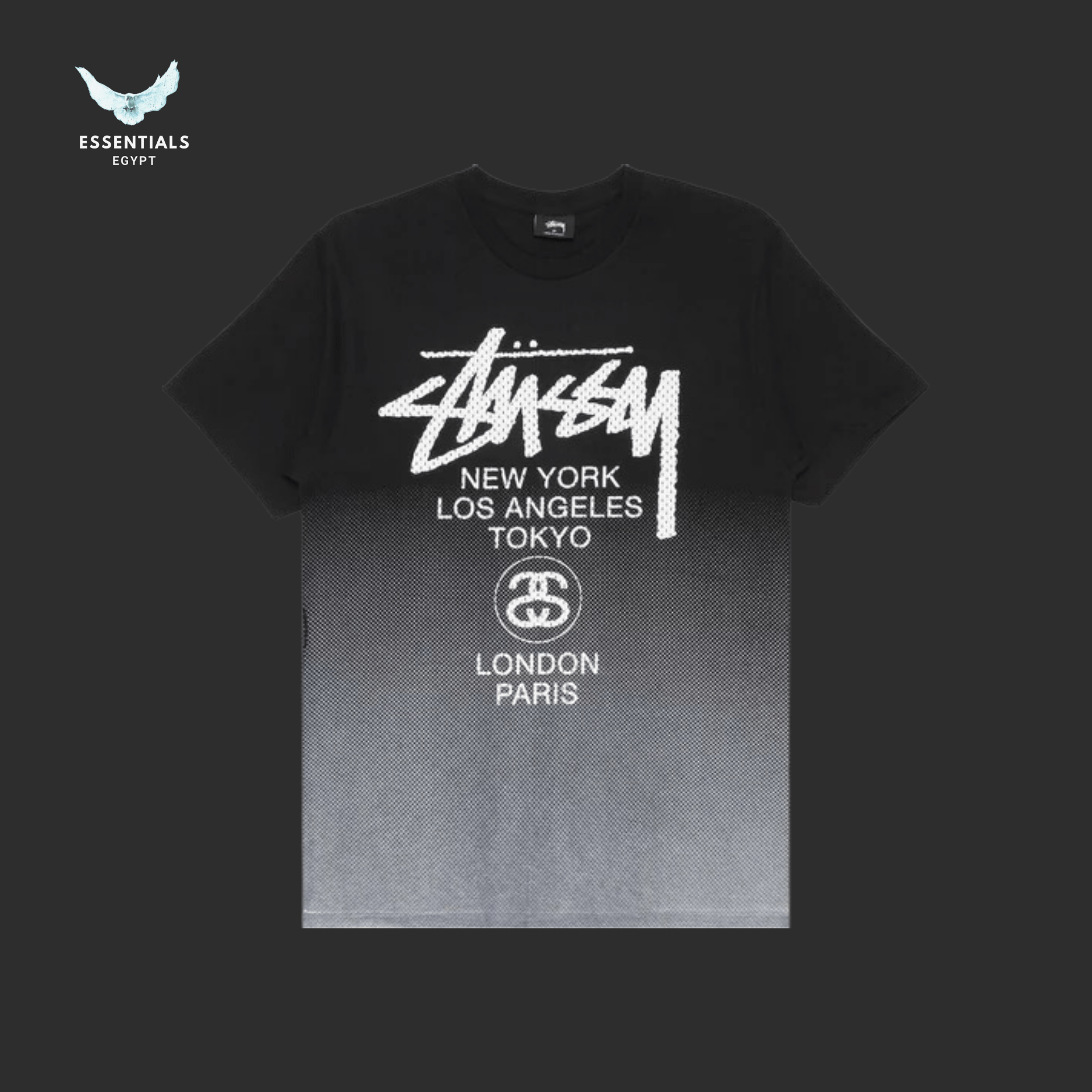 Stüssy T-Shirt – World Tour Mesh Fade - ESSENTIALS EGYPT