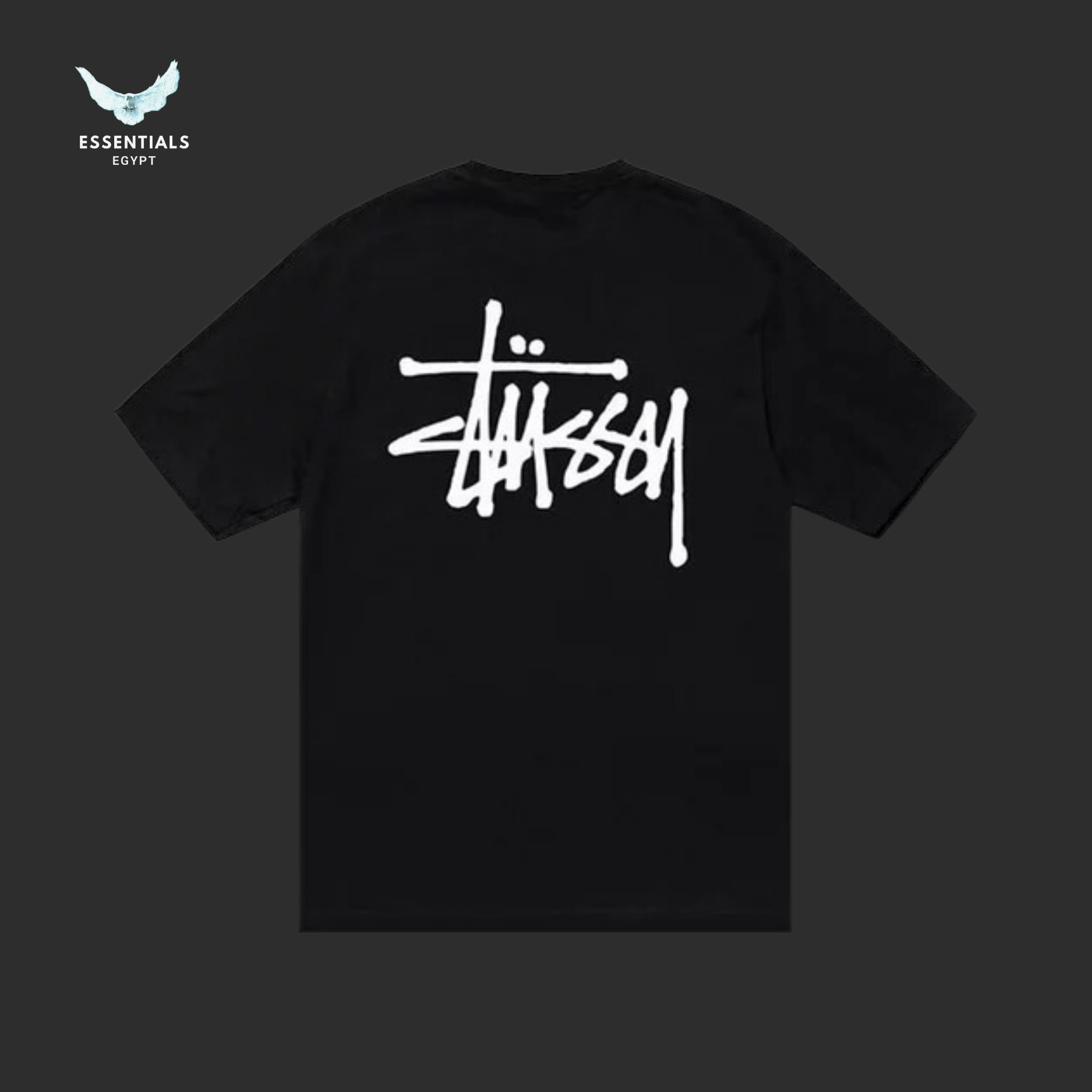 Stüssy T-Shirt – Basic Logo - ESSENTIALS EGYPT