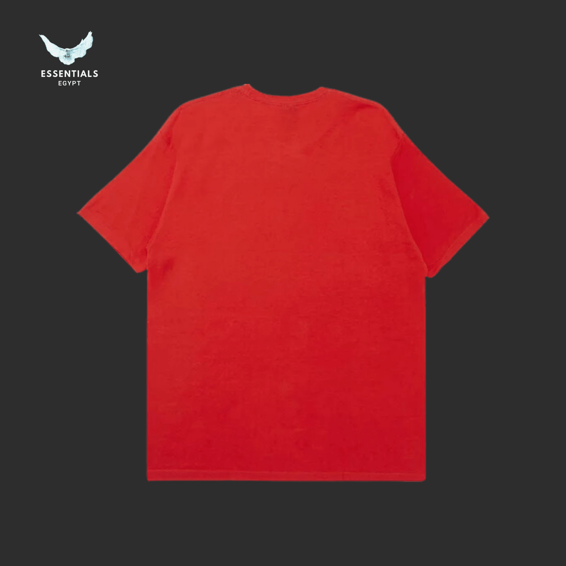 Stüssy T-Shirt – Beach Mob Red - ESSENTIALS EGYPT