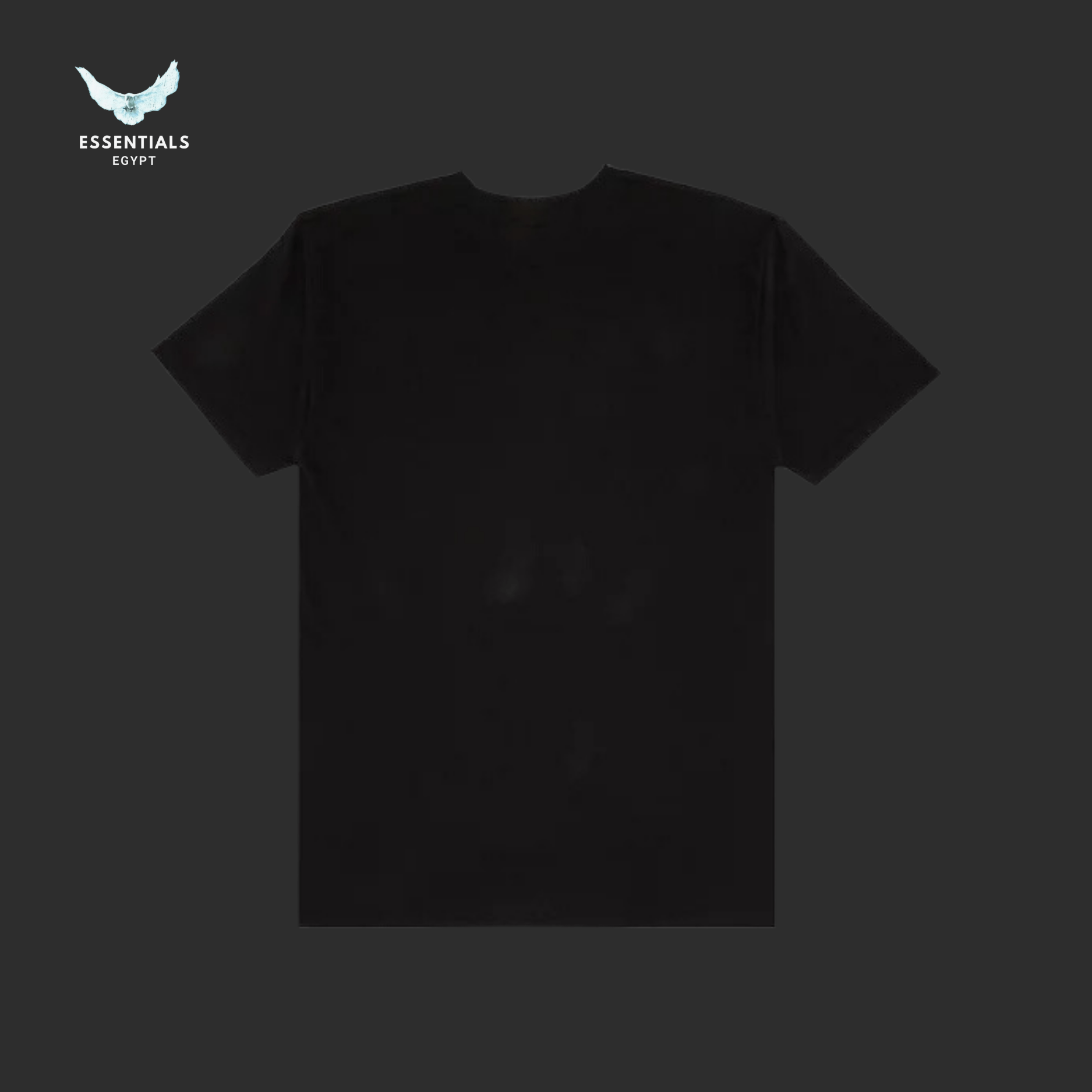 Stüssy T-Shirt – Brush Skull Black - ESSENTIALS EGYPT