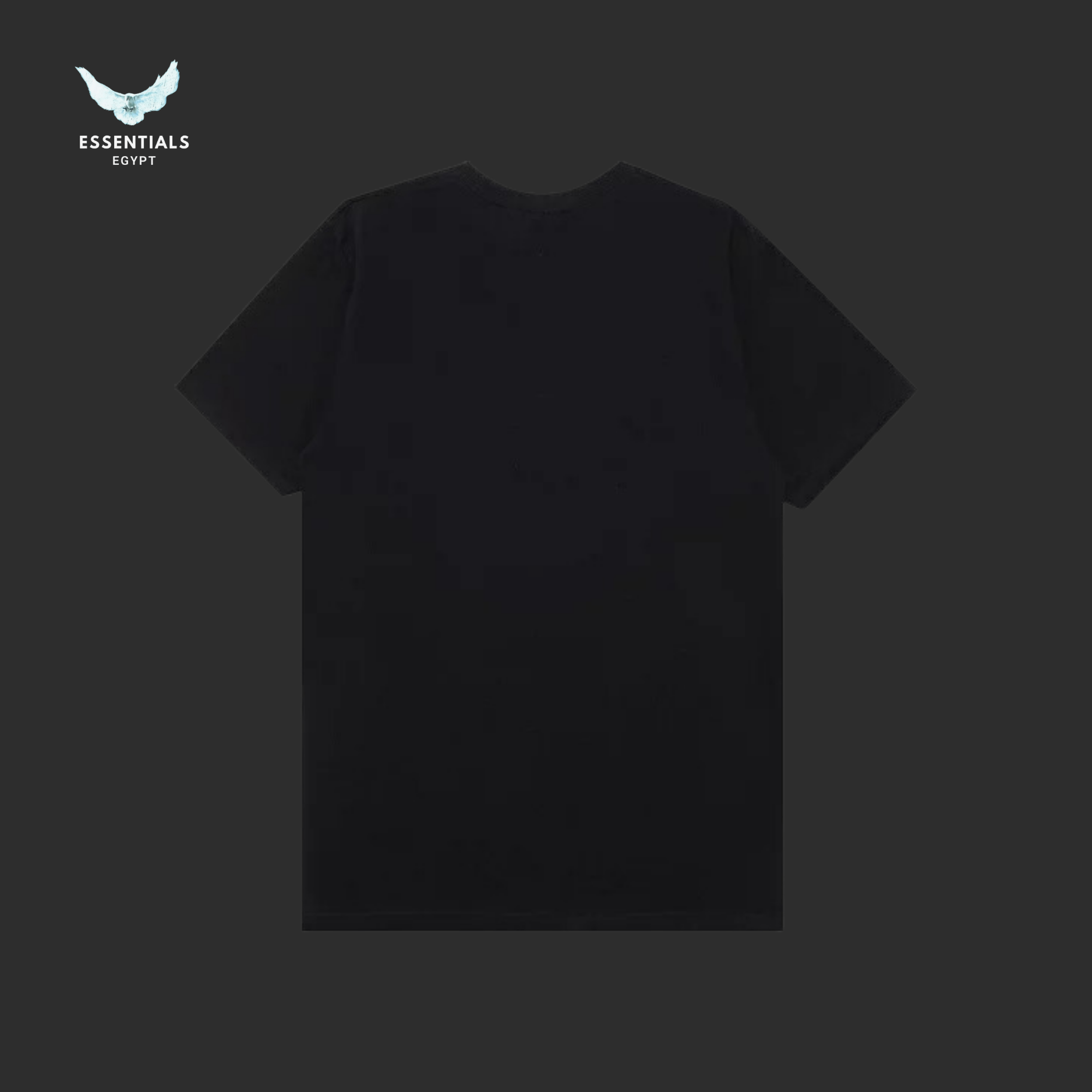 Stüssy T-Shirt – Paisley Logo Black - ESSENTIALS EGYPT