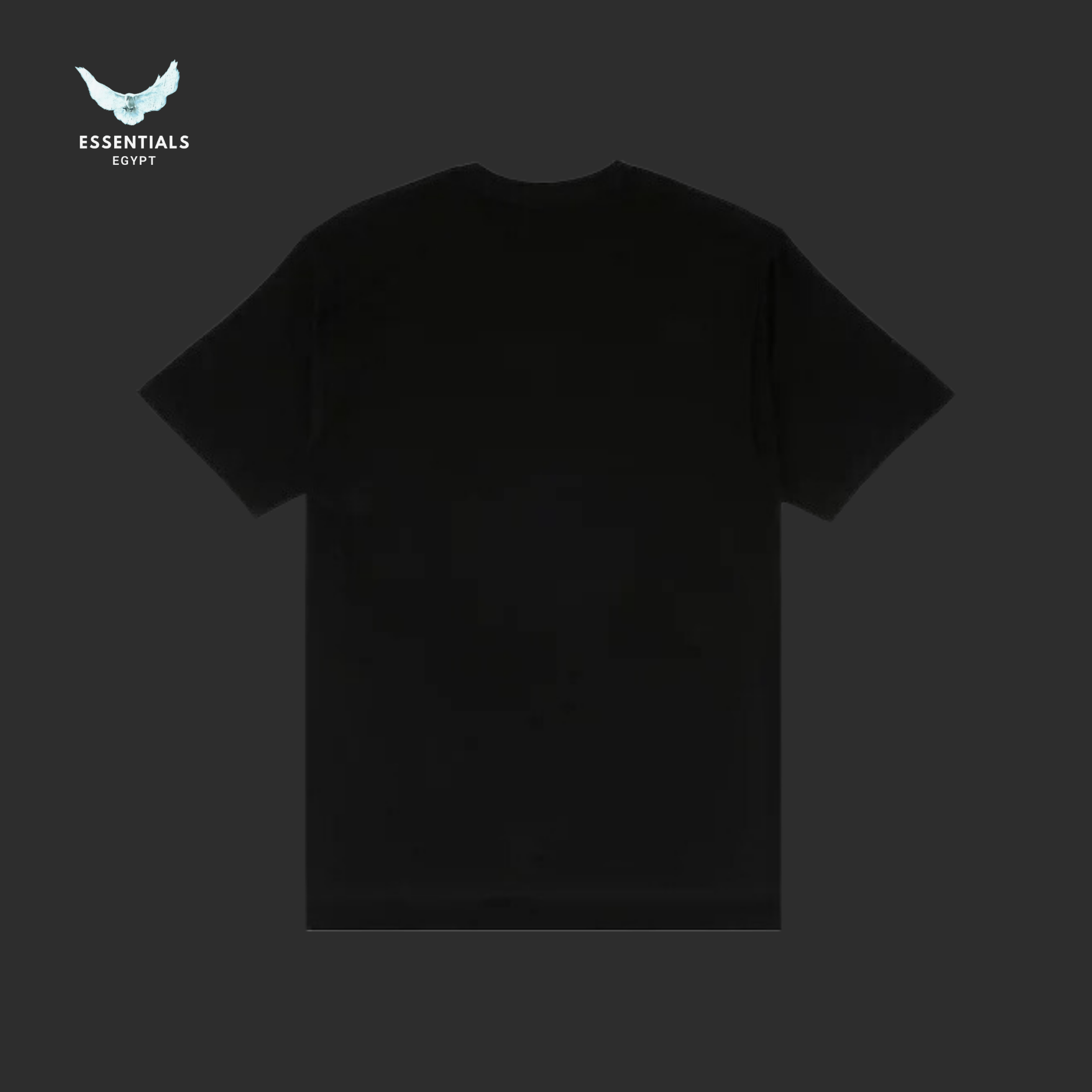 Stüssy T-Shirt – Stock Link Black - ESSENTIALS EGYPT