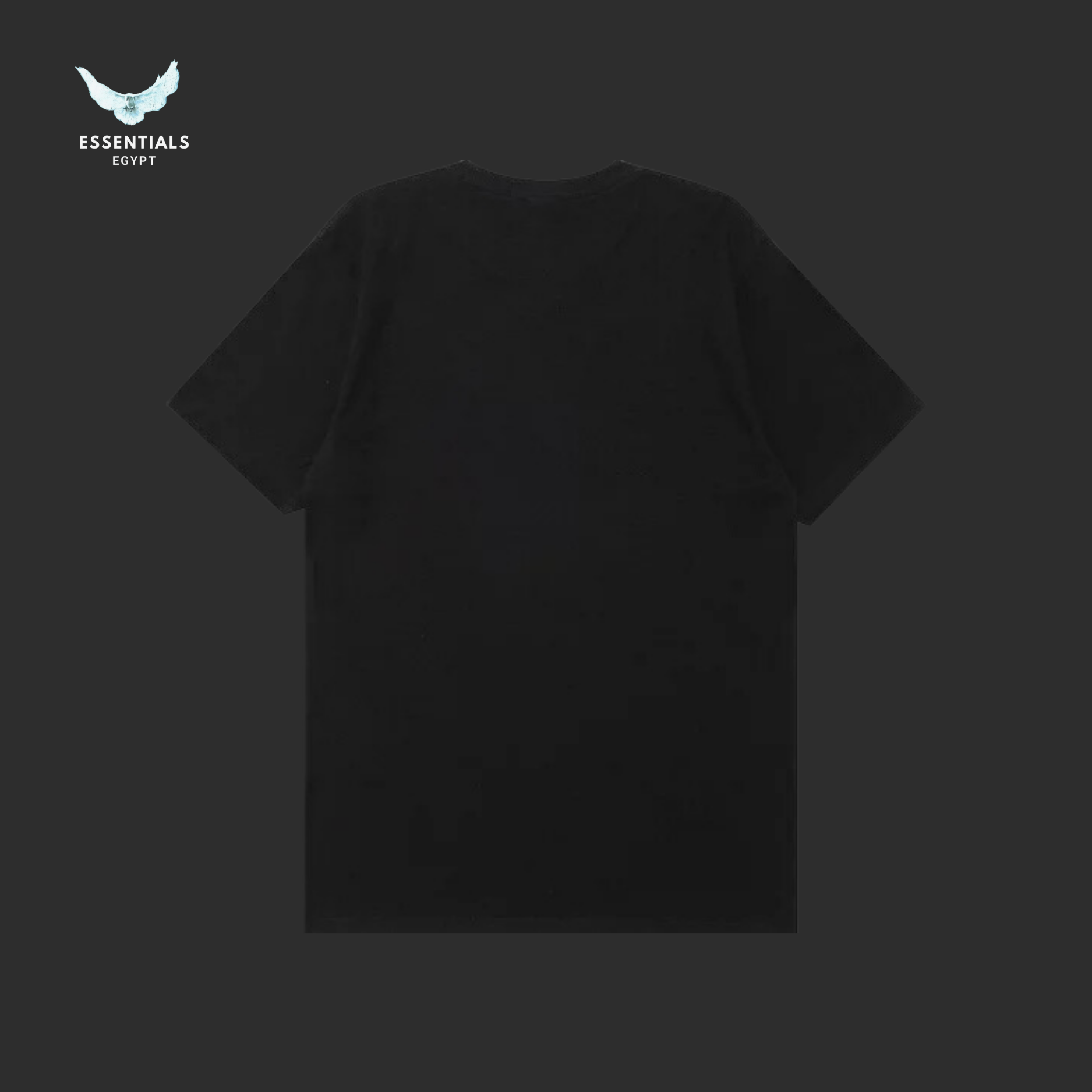 Stüssy T-Shirt – Stock Snake Black - ESSENTIALS EGYPT