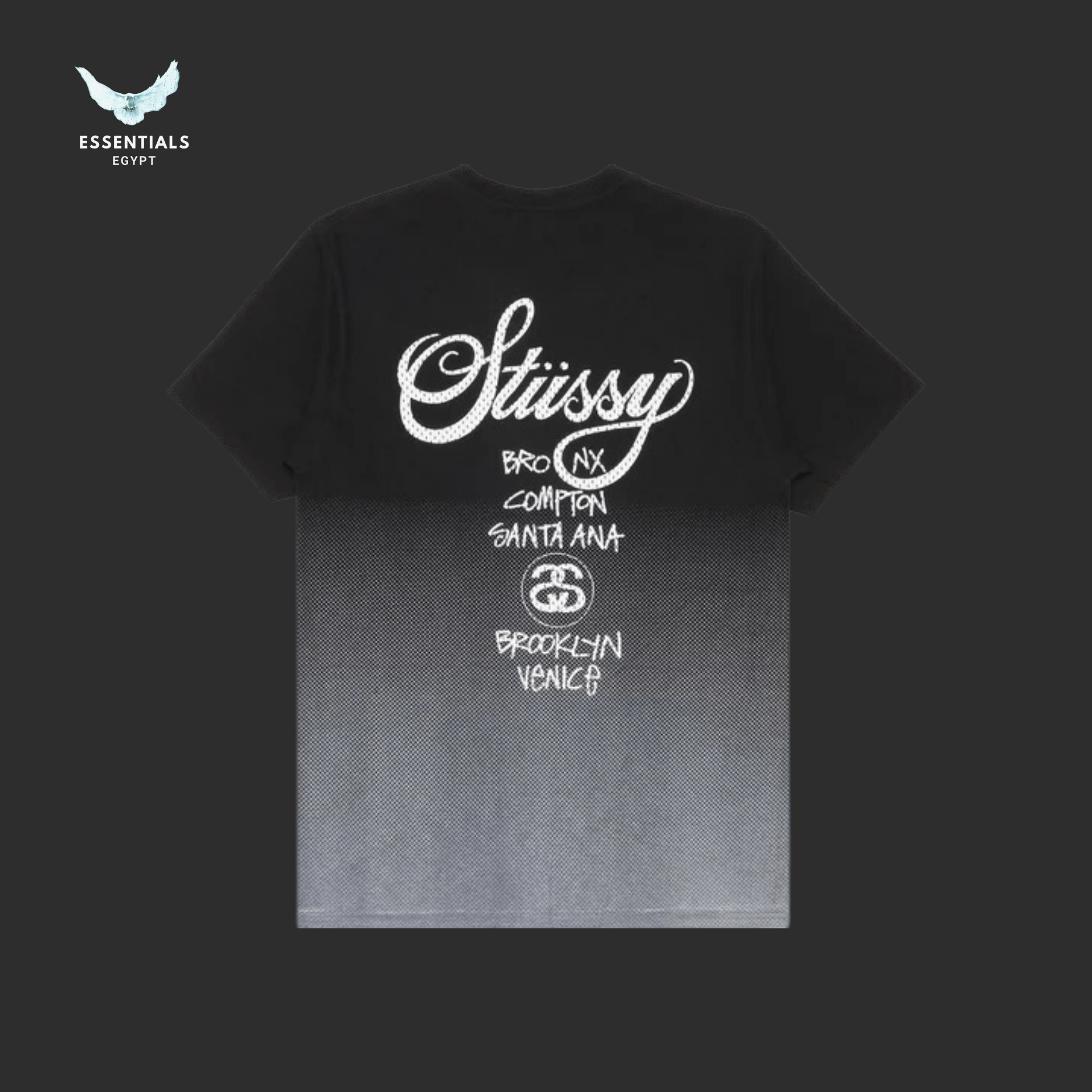 Stüssy T-Shirt – World Tour Mesh Fade - ESSENTIALS EGYPT