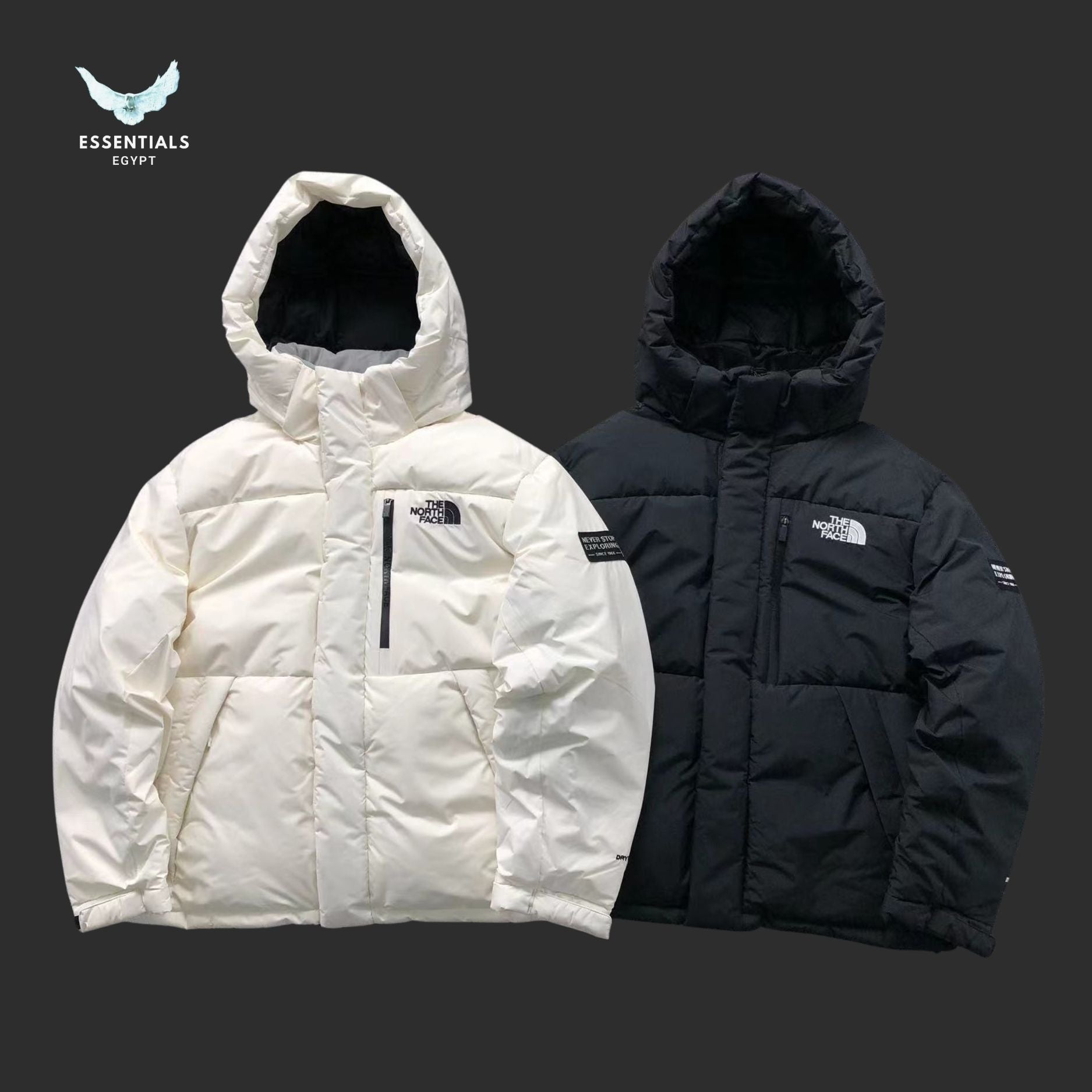 TNF DOWN JACKETS 39210816 - ESSENTIALS EGYPT