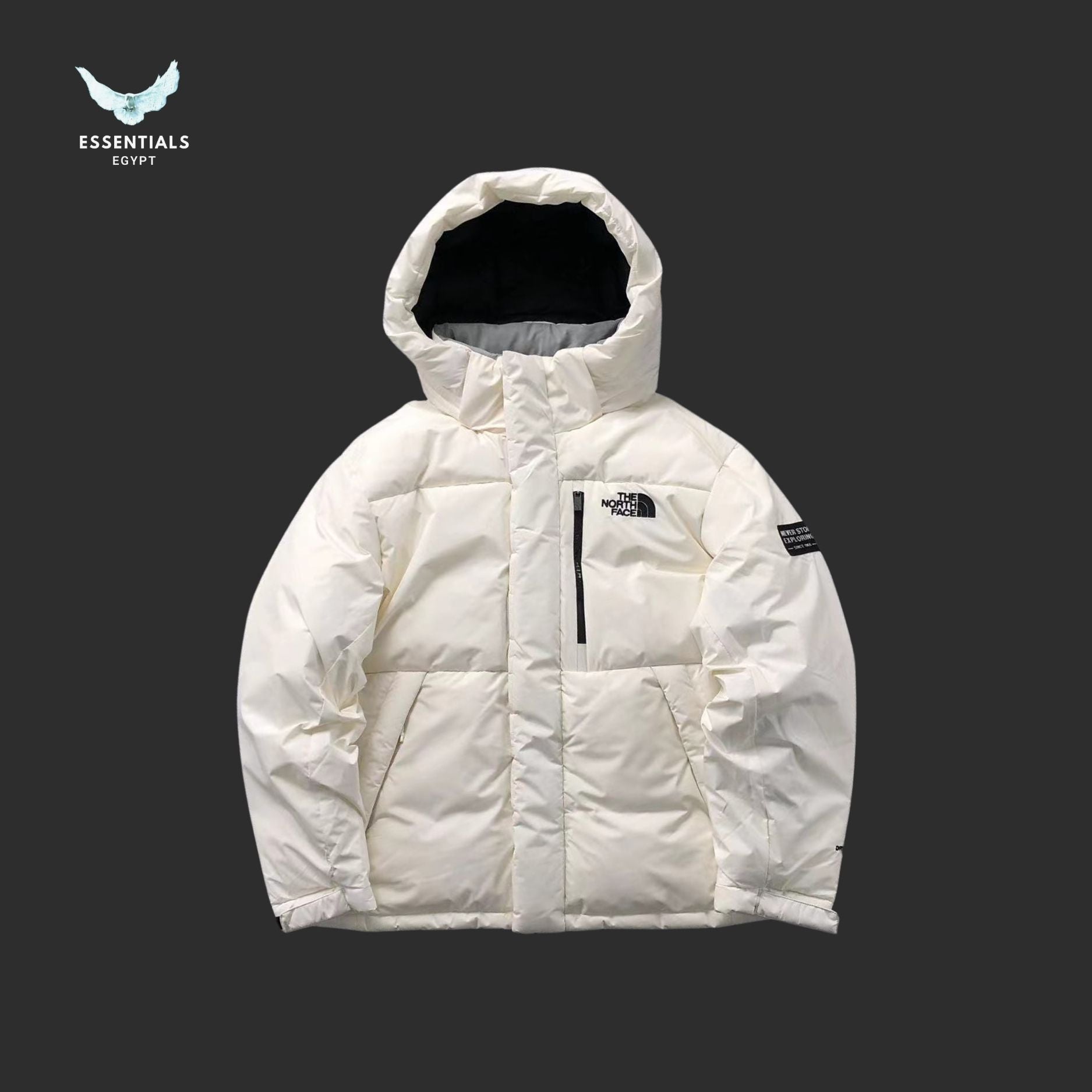 TNF DOWN JACKETS 39210816 - ESSENTIALS EGYPT
