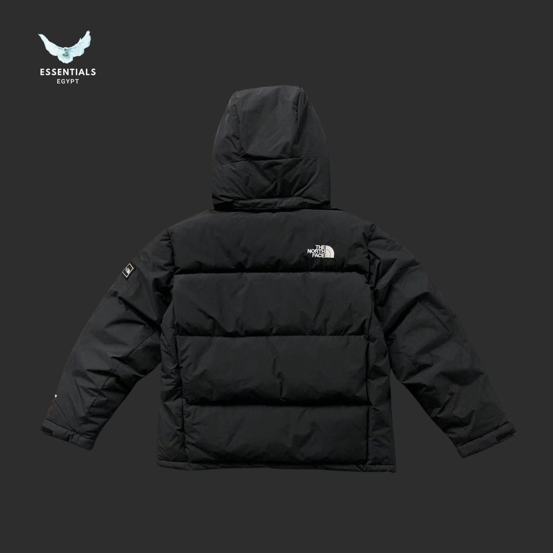 TNF DOWN JACKETS 39210816 - ESSENTIALS EGYPT
