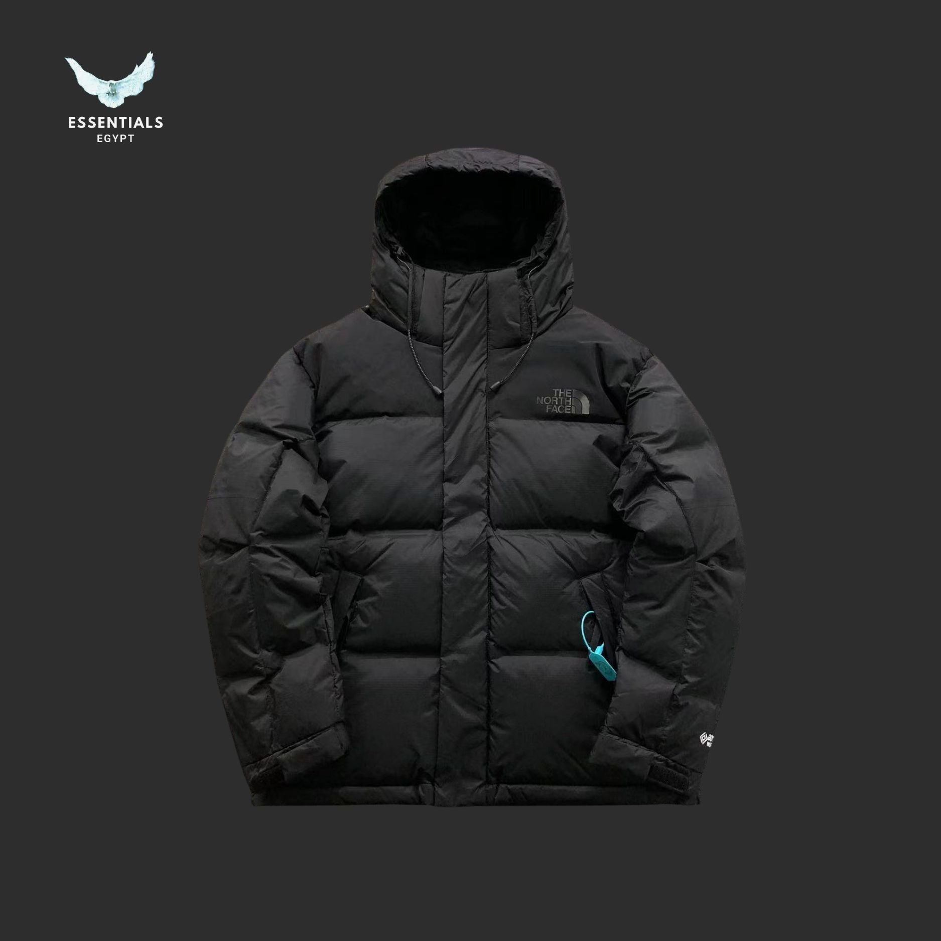 TNF DOWN JACKETS 3108052715 - ESSENTIALS EGYPT