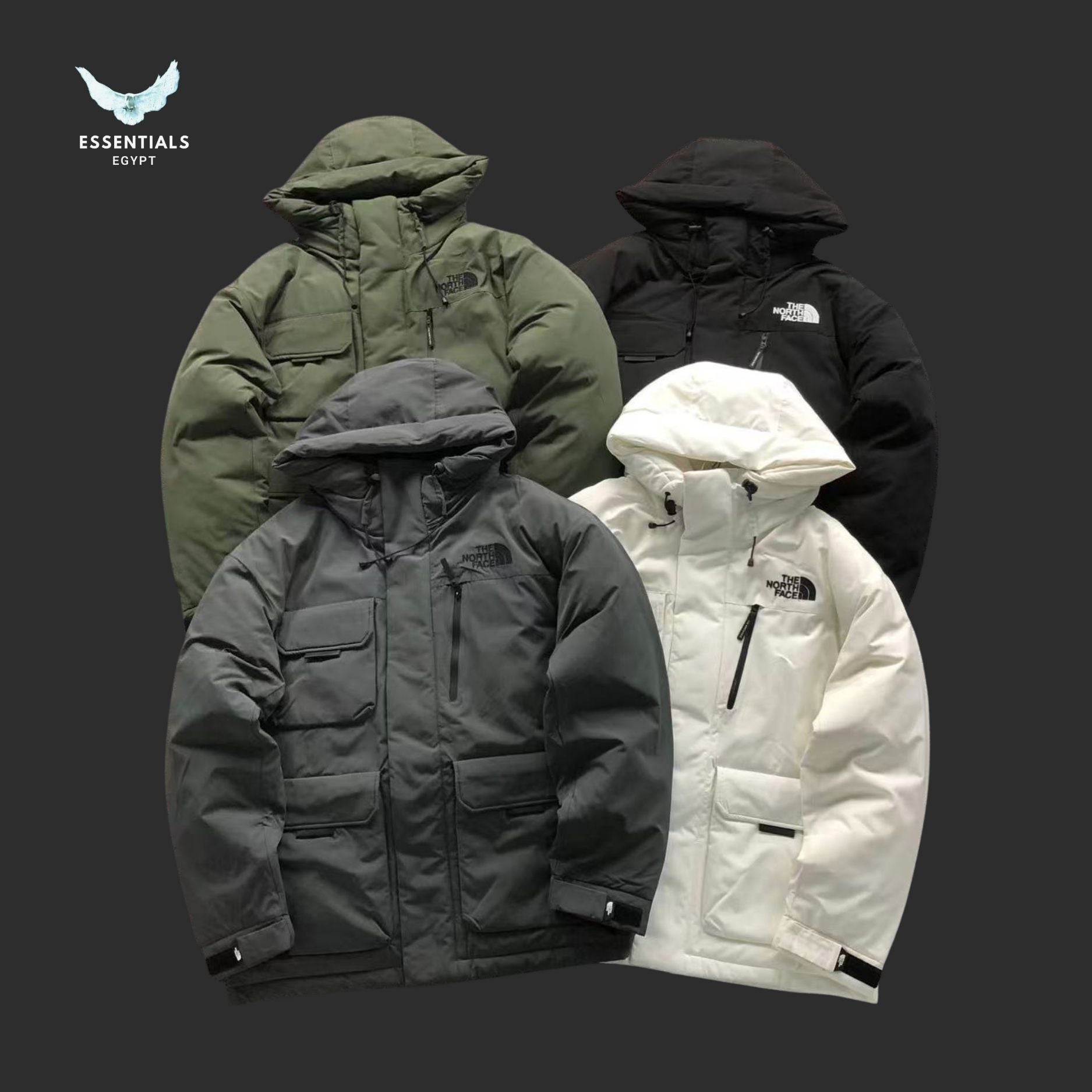 The North Face Expedition Jacket – 800 Fill - ESSENTIALS EGYPT