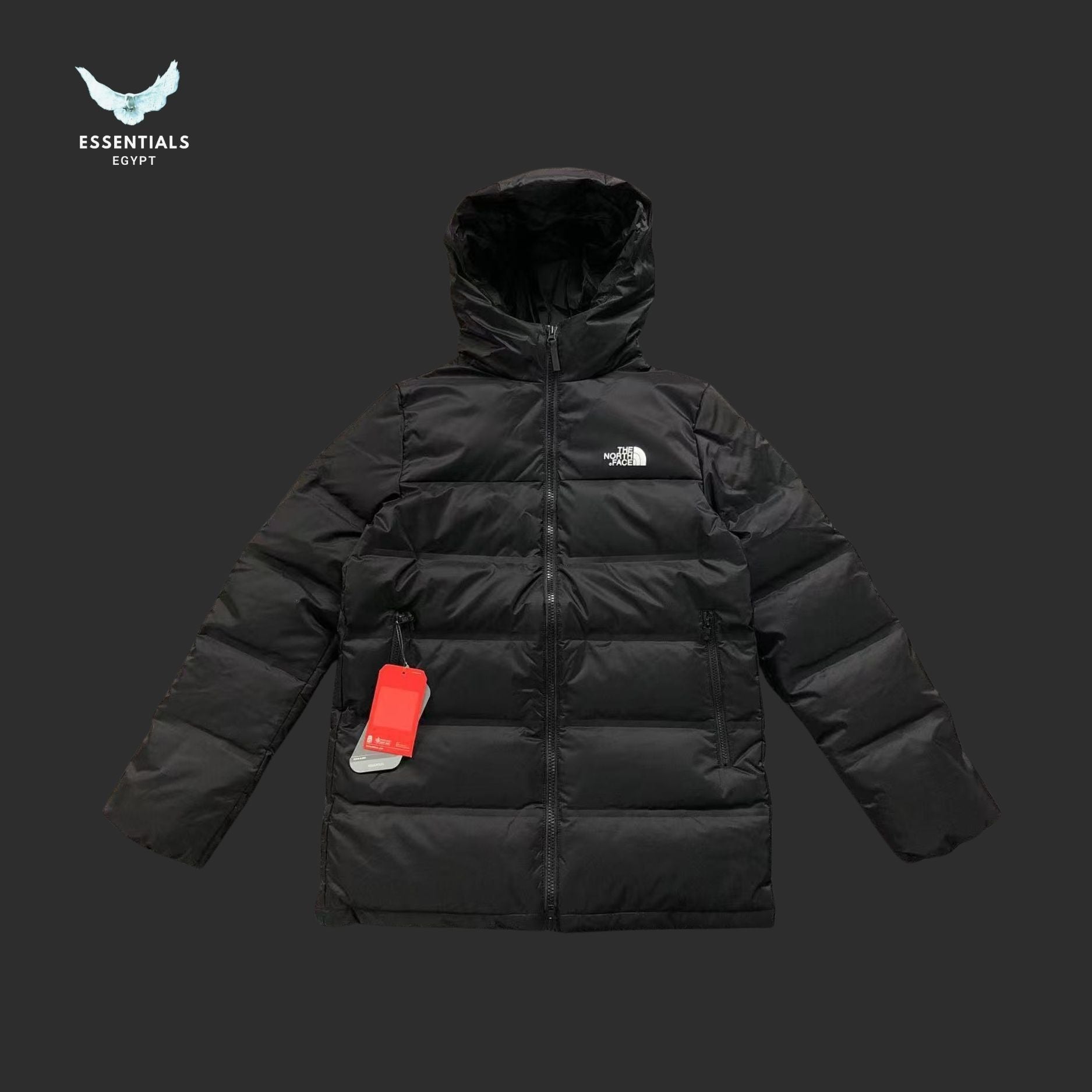 TNF DOWN JACKETS 310250321 - ESSENTIALS EGYPT