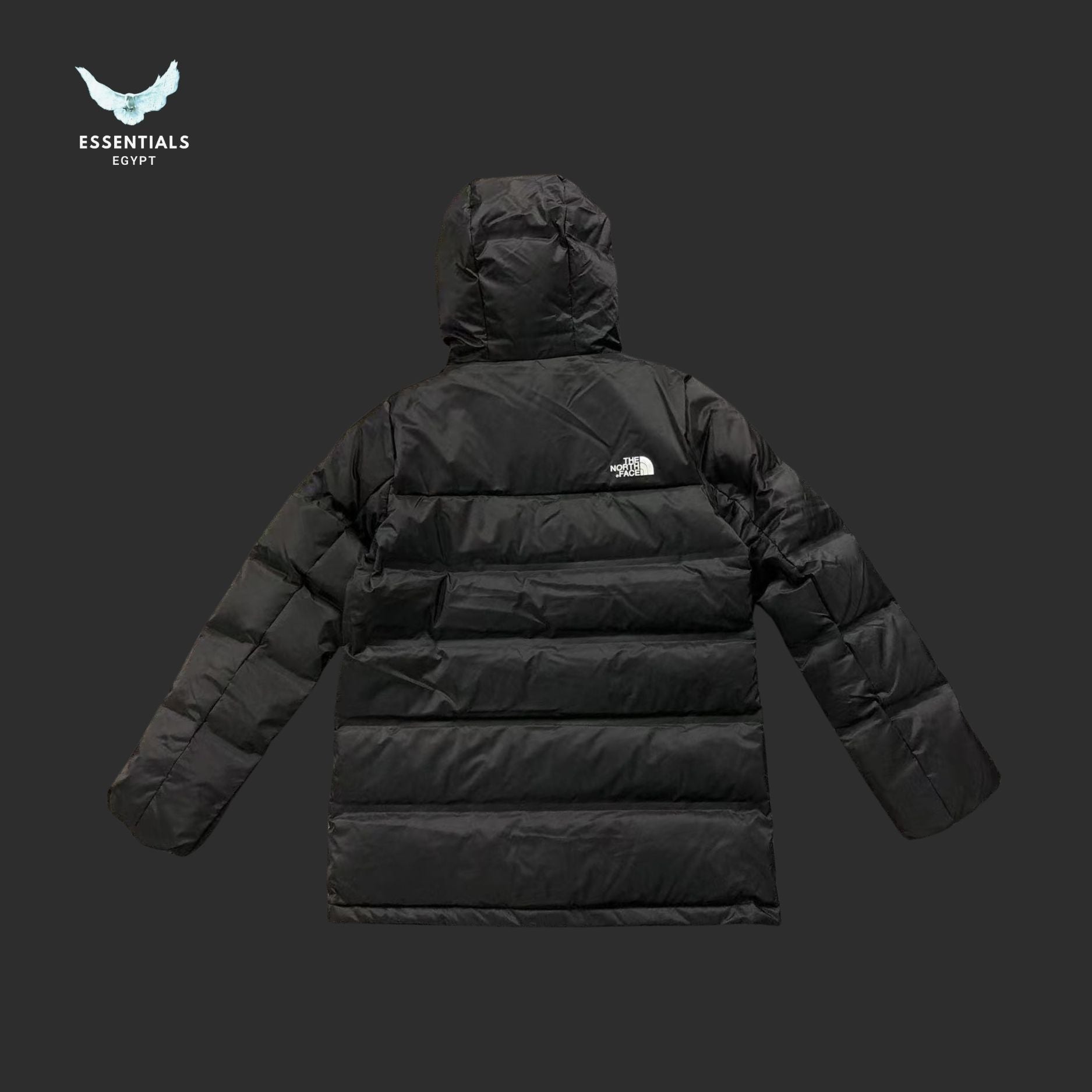 TNF DOWN JACKETS 310250321 - ESSENTIALS EGYPT