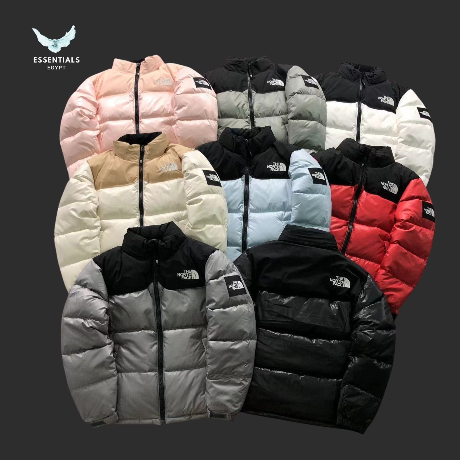 TNF DOWN JACKETS 3109172216 - ESSENTIALS EGYPT