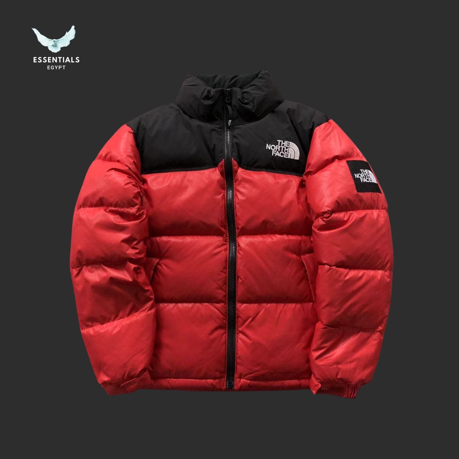 TNF DOWN JACKETS 3109172216 - ESSENTIALS EGYPT