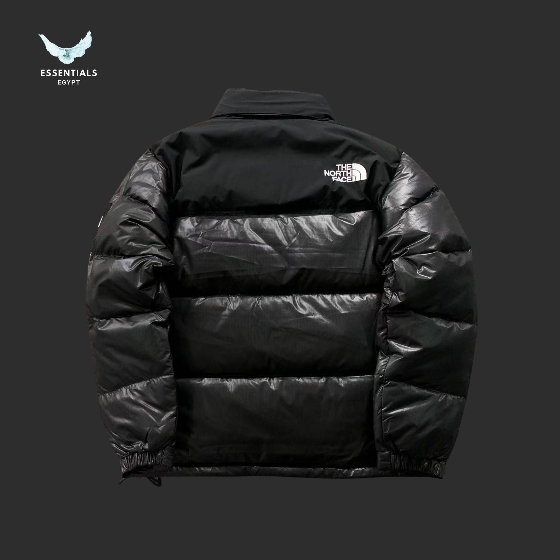 TNF DOWN JACKETS 3109172216 - ESSENTIALS EGYPT