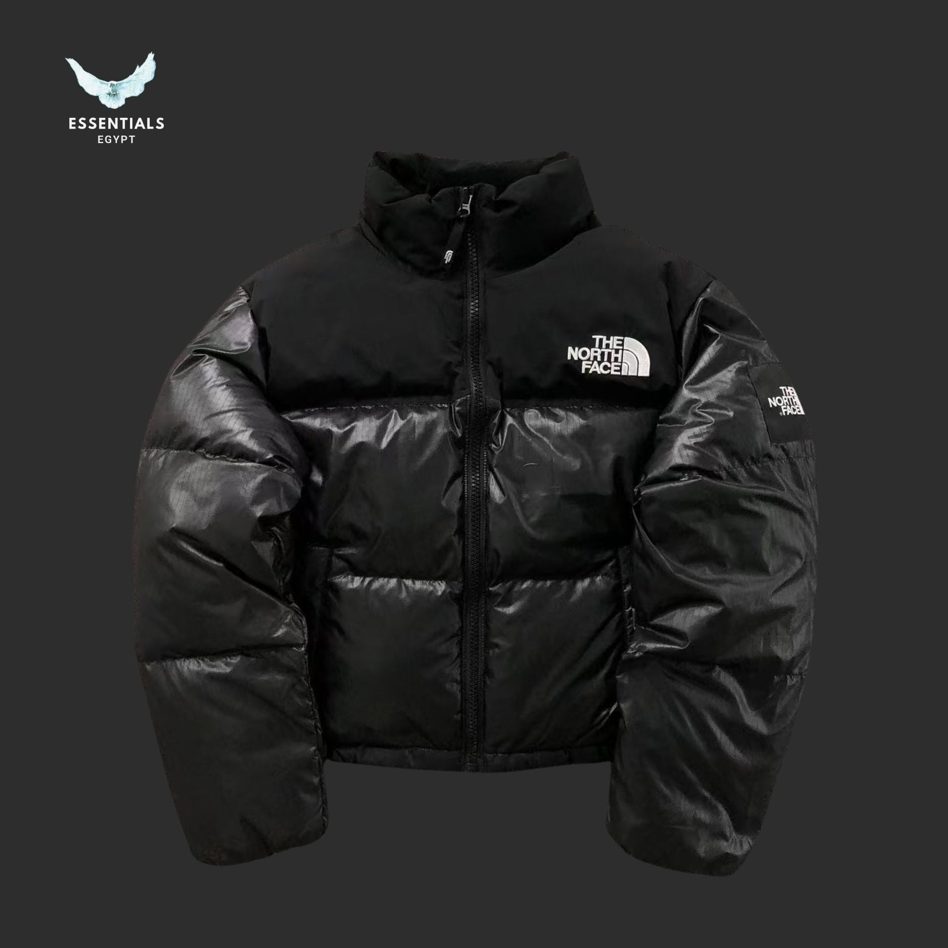 The North Face Colorblock Puffer Jacket - ESSENTIALS EGYPT