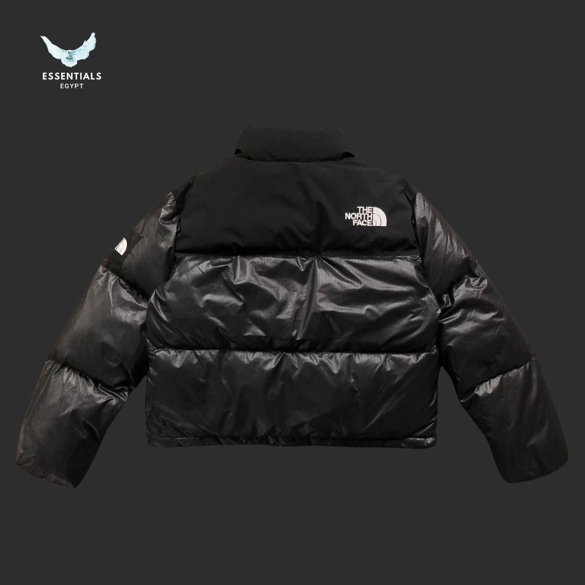 The North Face Colorblock Puffer Jacket - ESSENTIALS EGYPT