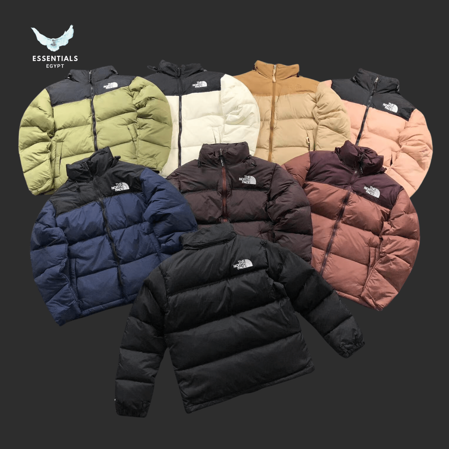 The North Face Down Jackets - ESSENTIALS EGYPT