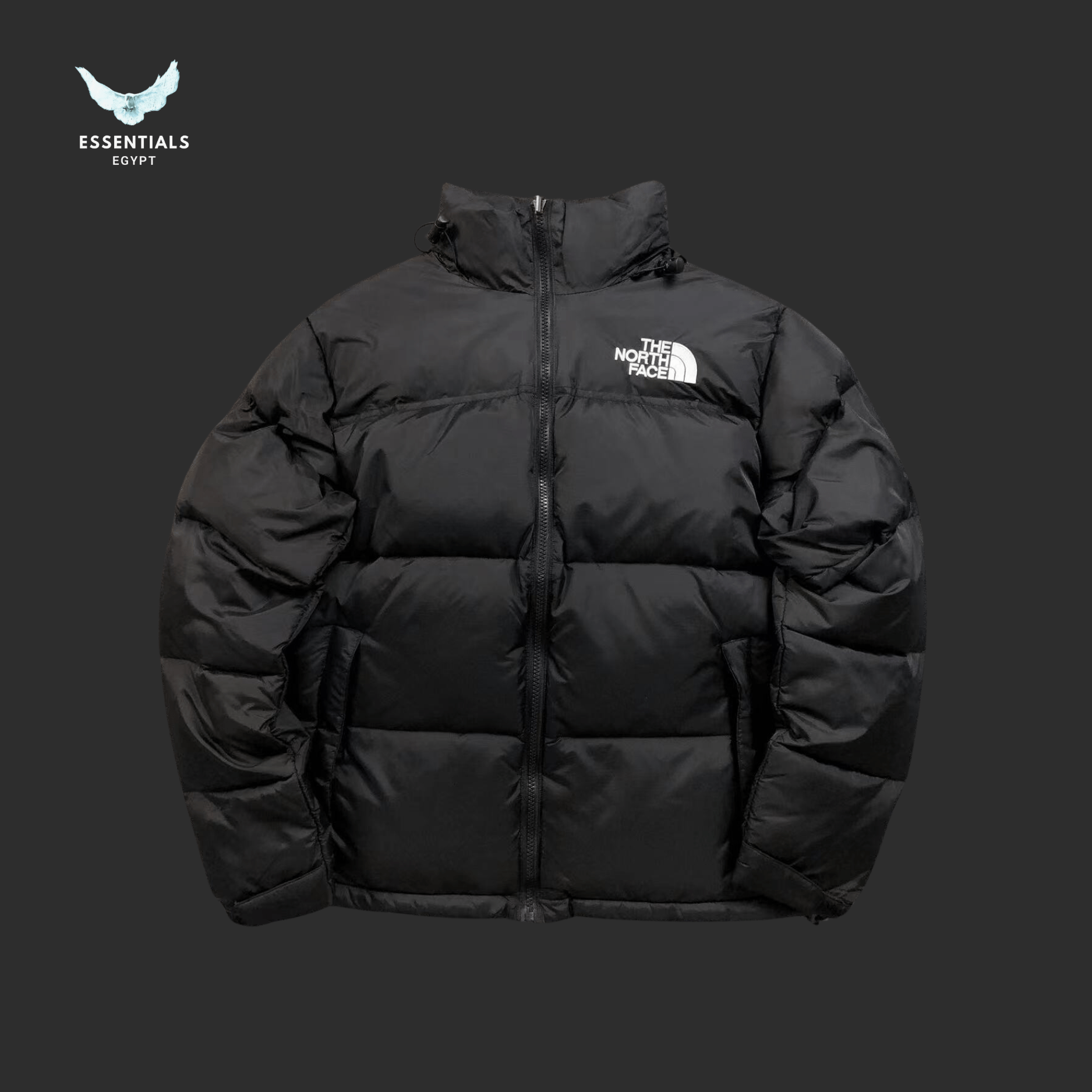 The North Face Down Jackets - ESSENTIALS EGYPT