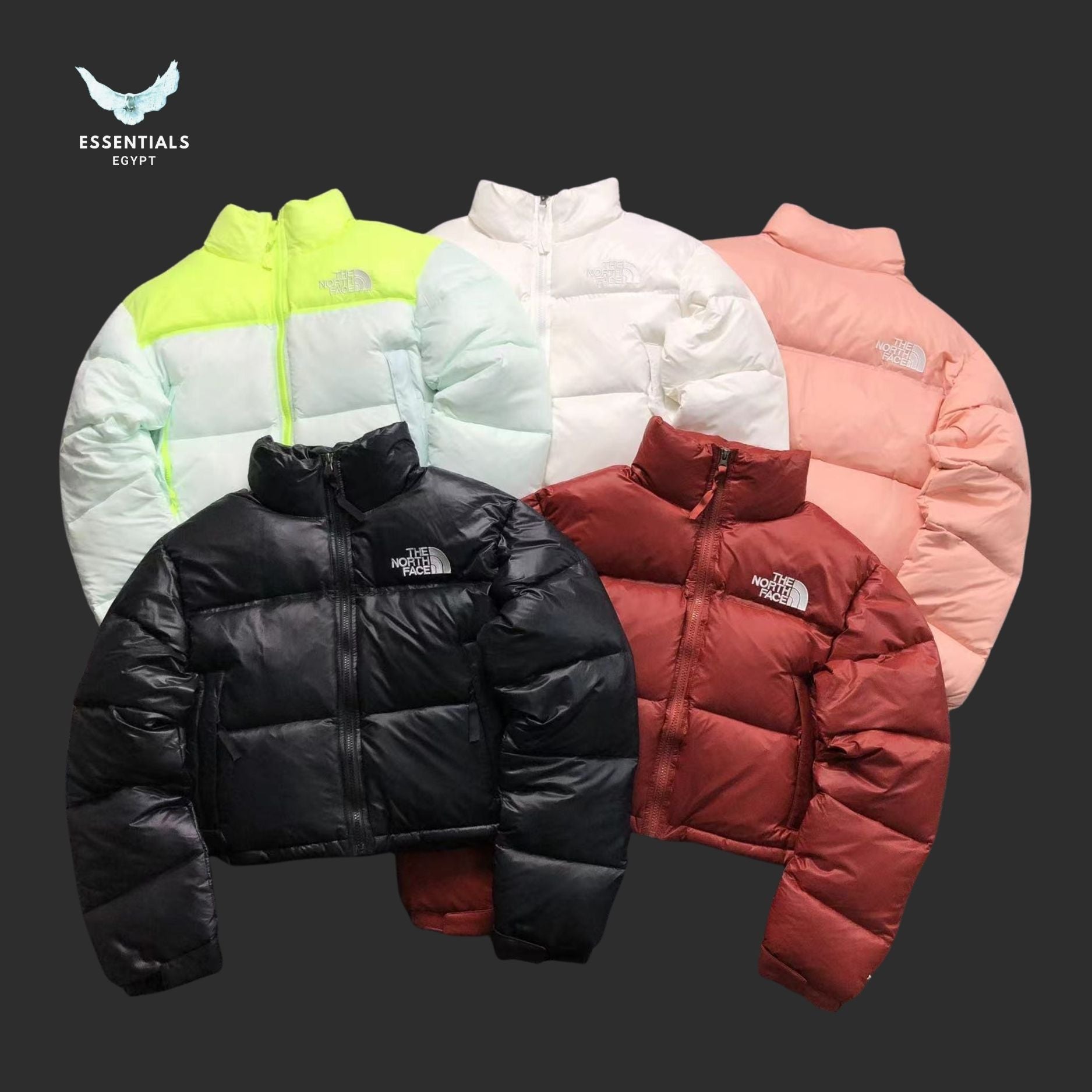 TNF DOWN JACKETS 381202 - ESSENTIALS EGYPT