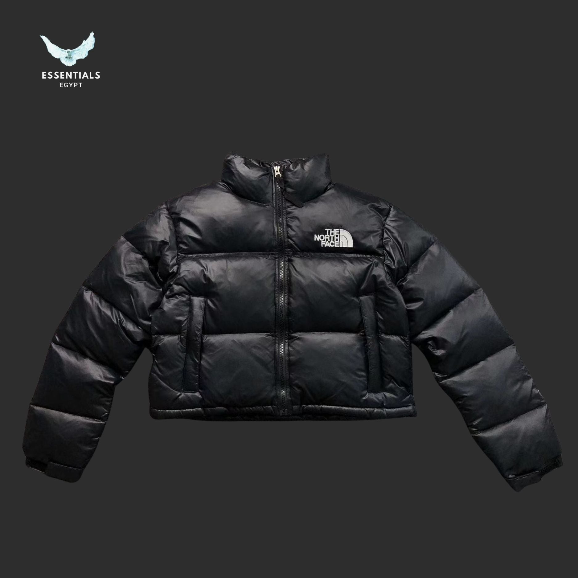 TNF DOWN JACKETS 381202 - ESSENTIALS EGYPT