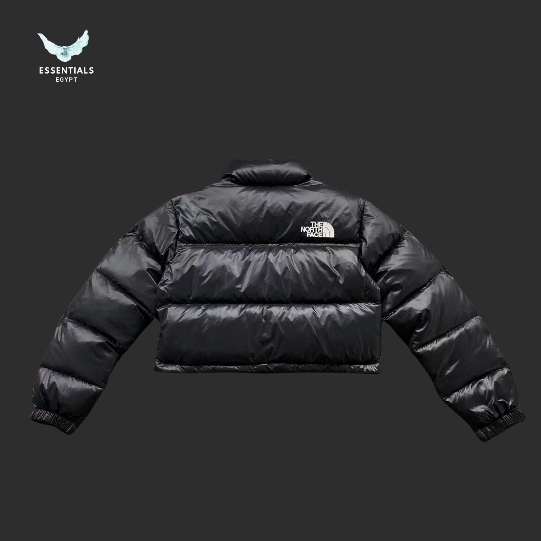 TNF DOWN JACKETS 213121615 - ESSENTIALS EGYPT
