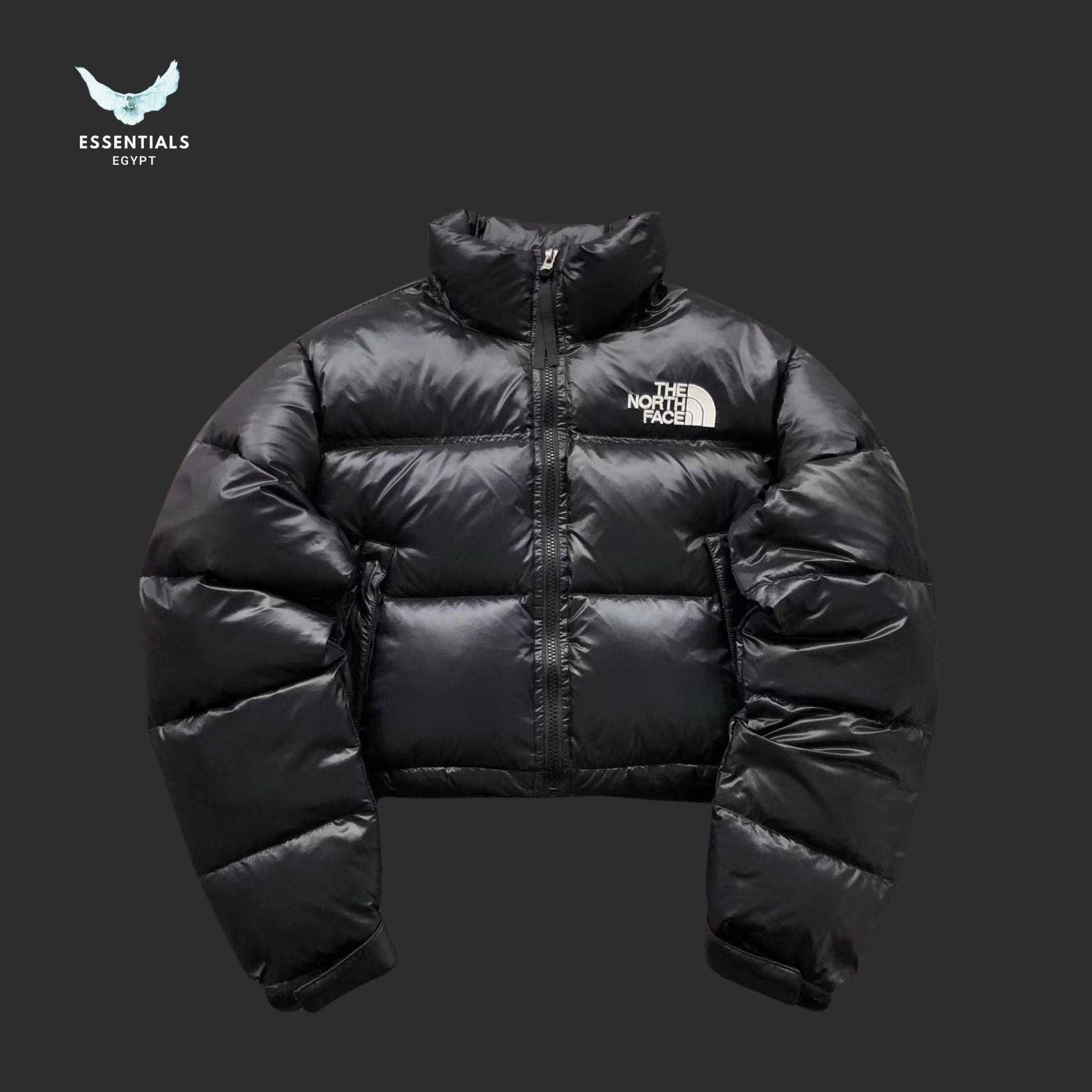 TNF DOWN JACKETS 213121615 - ESSENTIALS EGYPT