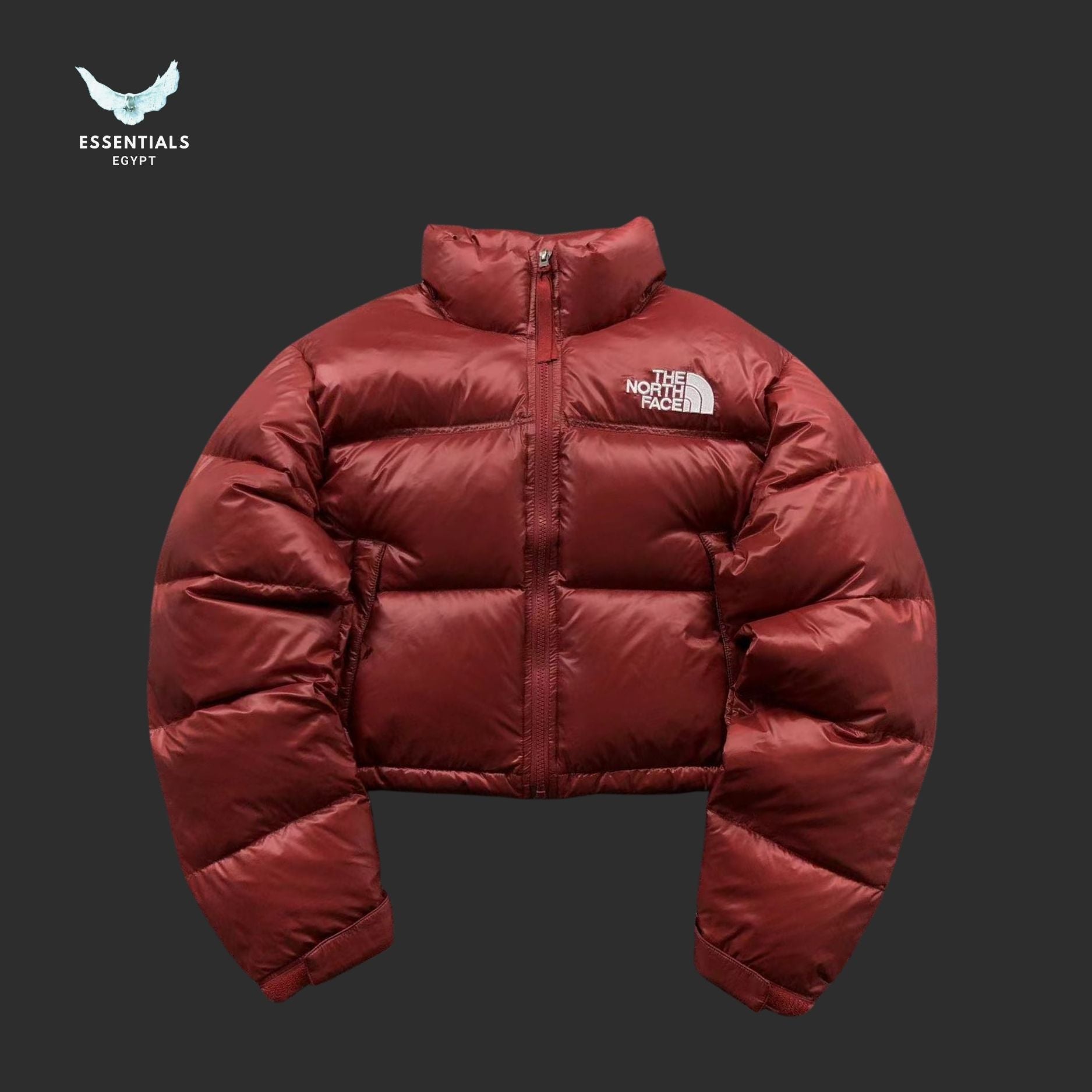 TNF DOWN JACKETS 213121615 - ESSENTIALS EGYPT