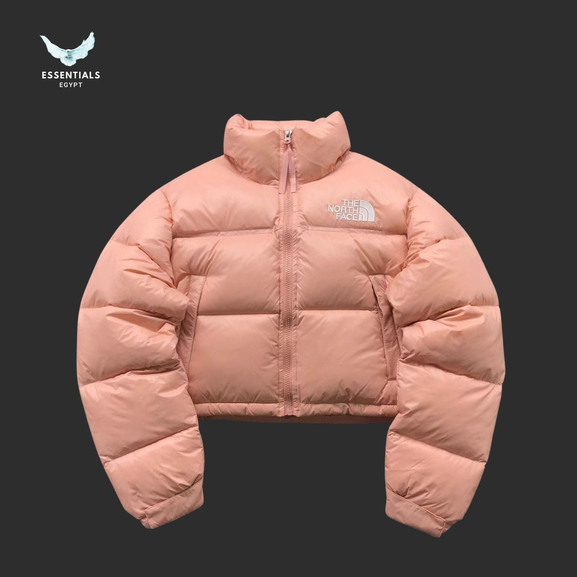 TNF DOWN JACKETS 213121615 - ESSENTIALS EGYPT