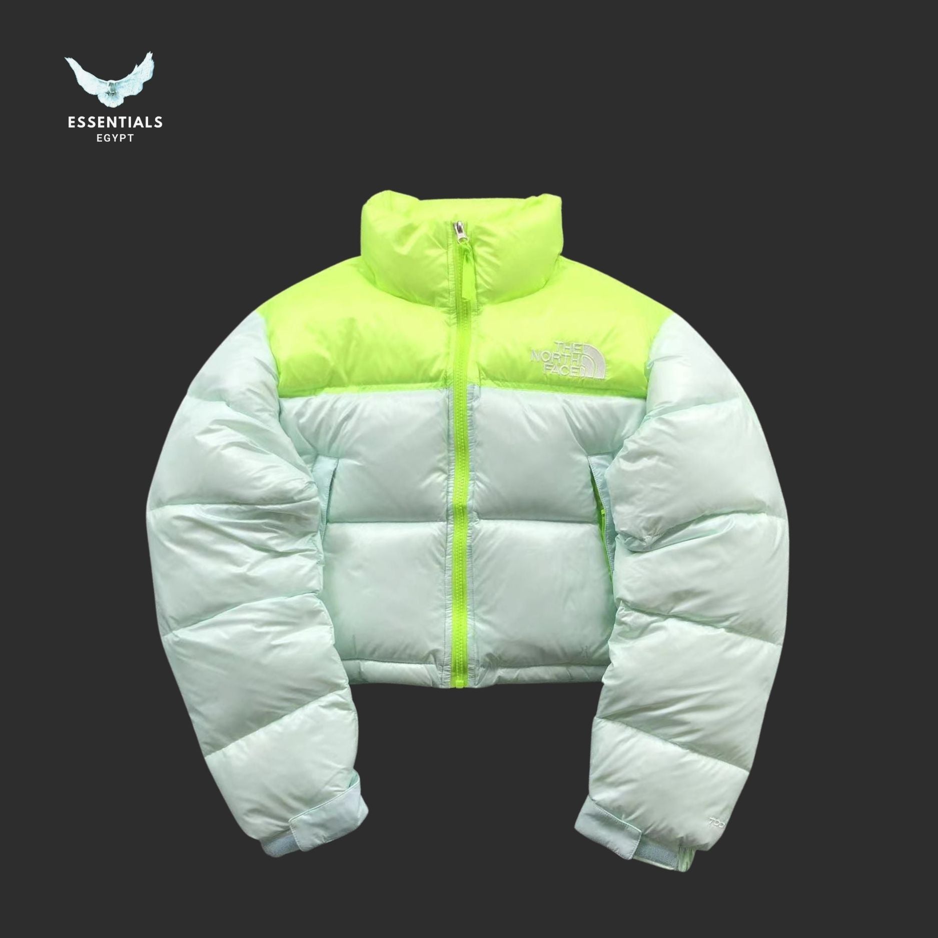 TNF DOWN JACKETS 213121615 - ESSENTIALS EGYPT