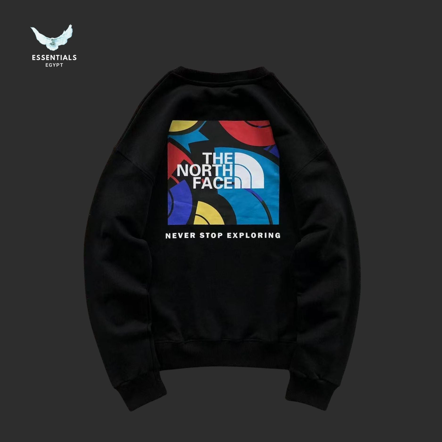 The North Face Graphic Sweatshirt – Multi Color Logo - ESSENTIALS EGYPT