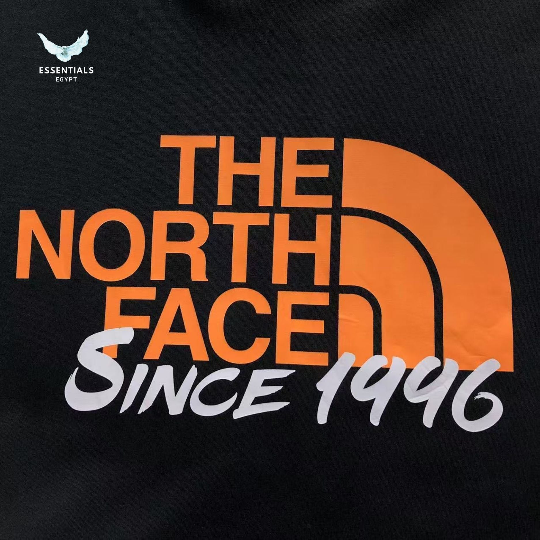 TNF HOODIE 218050301 - ESSENTIALS EGYPT