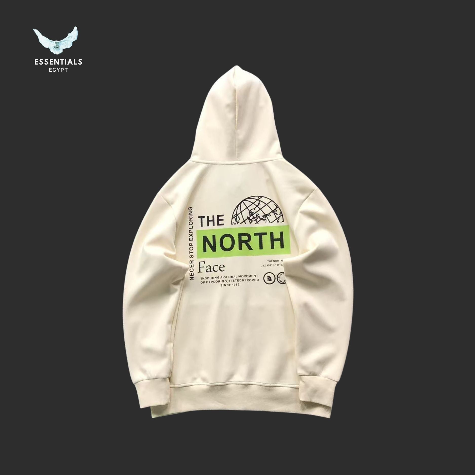TNF HOODIE 218050901 - ESSENTIALS EGYPT