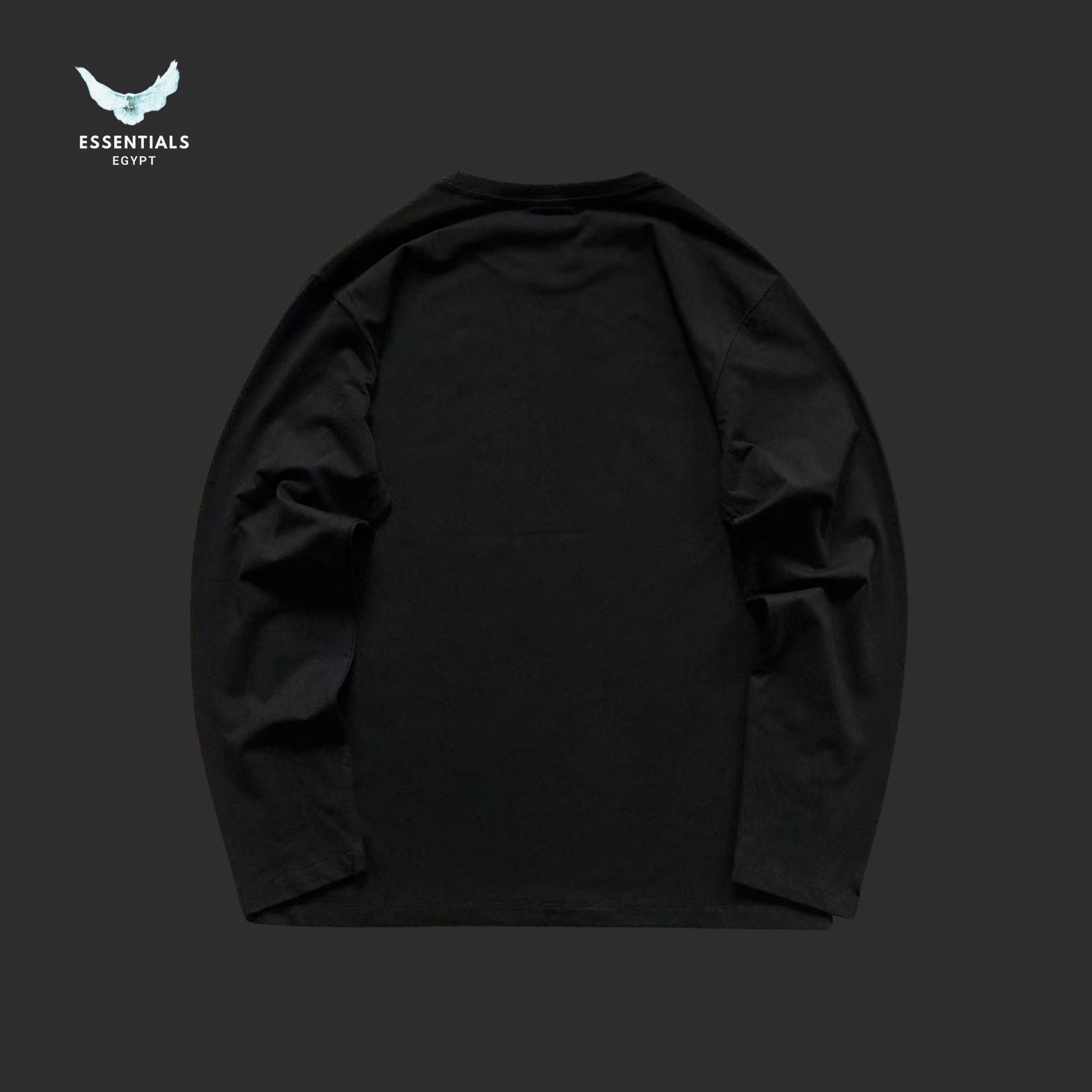 The North Face Long Sleeve Tee – Mini Mountain Logo - ESSENTIALS EGYPT