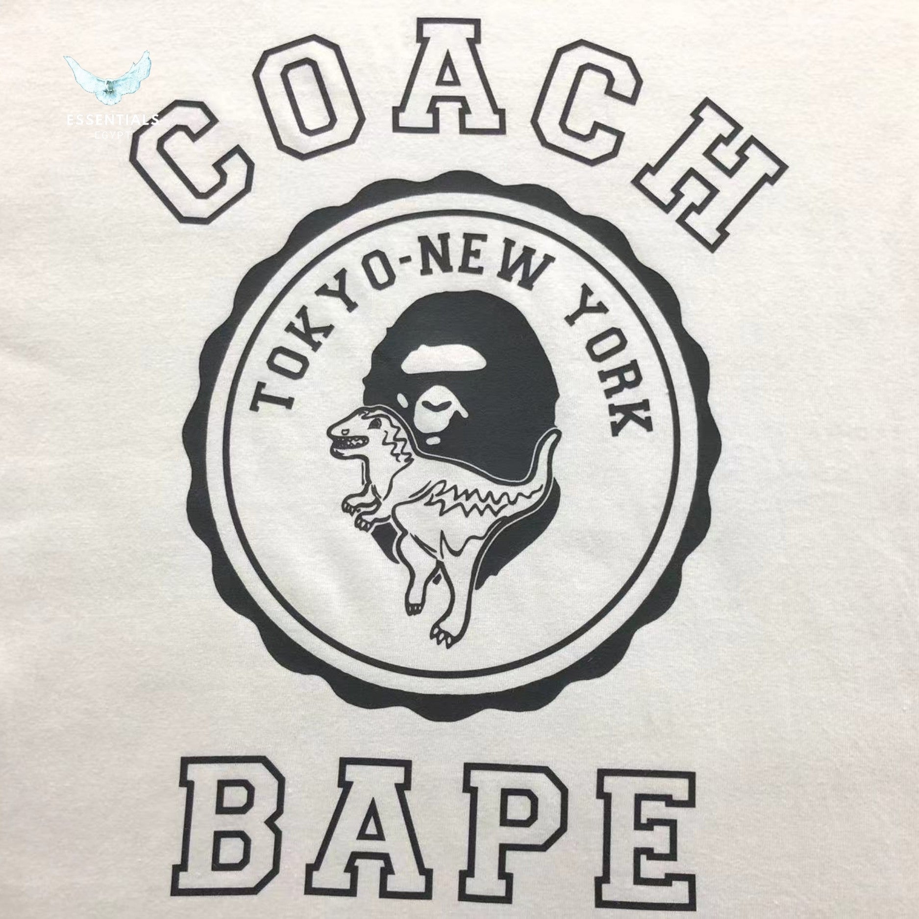 BAPE COACH T-SHIRT 3110150717