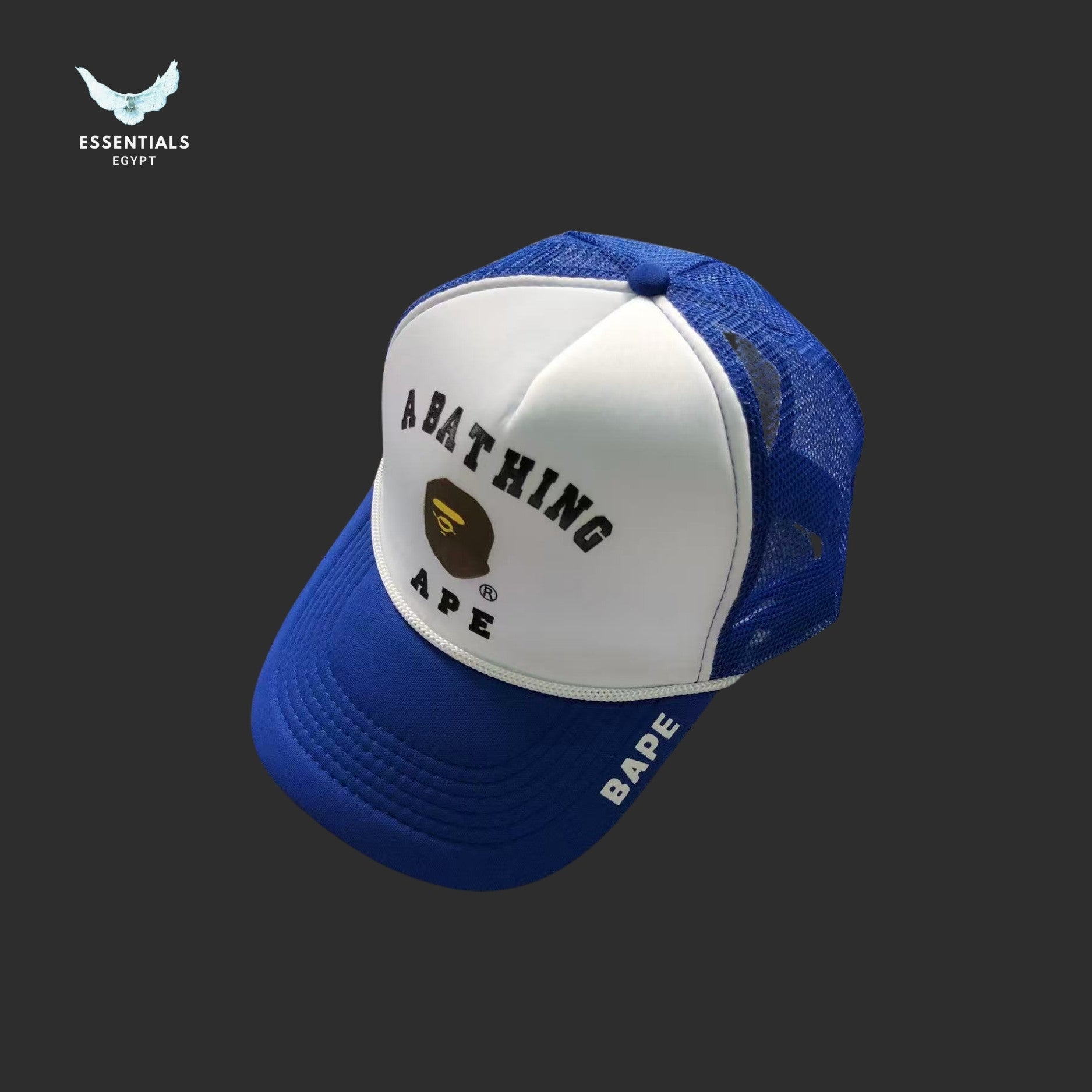BAPE College Mesh Cap