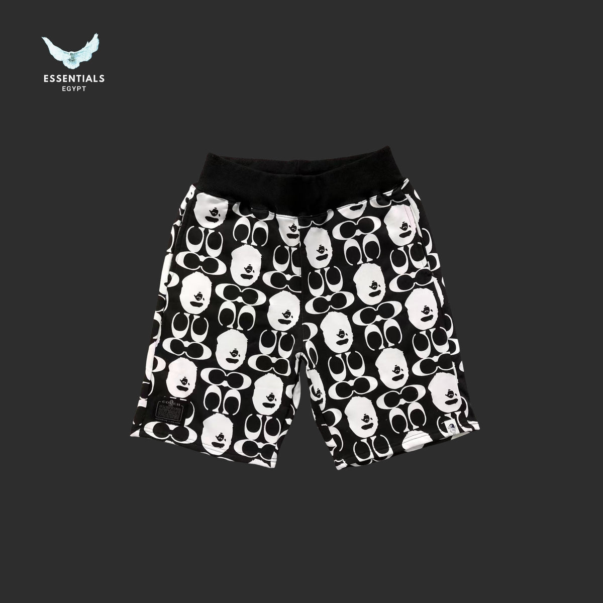 BAPE x Coach Sweatshorts