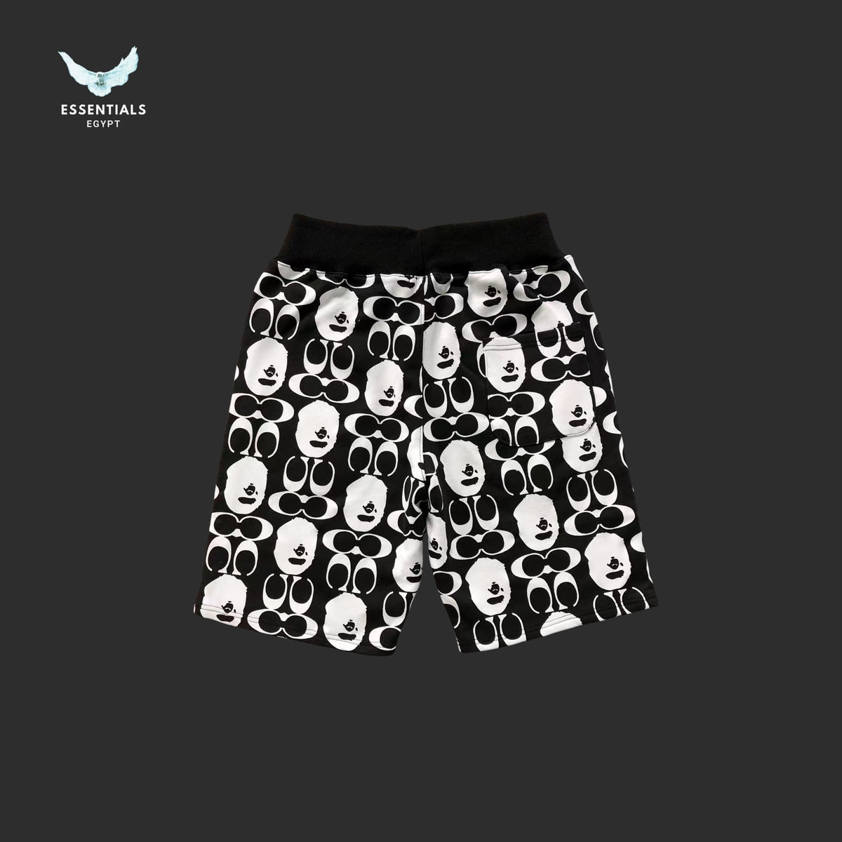 BAPE x Coach Sweatshorts