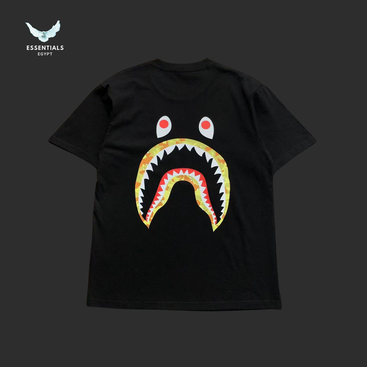BAPE STUSSY T-SHIRT 3111050221