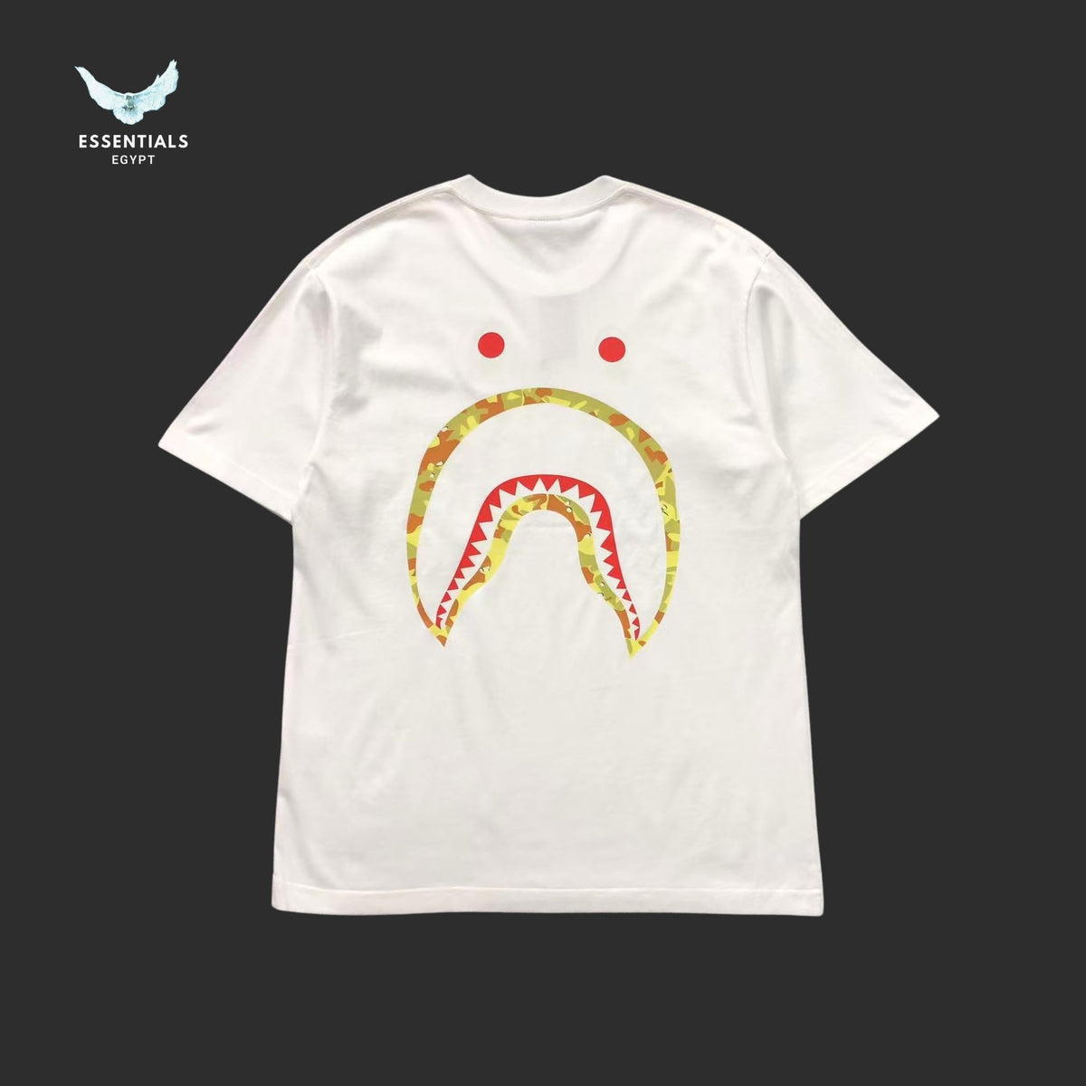 BAPE STUSSY T-SHIRT 3111050221