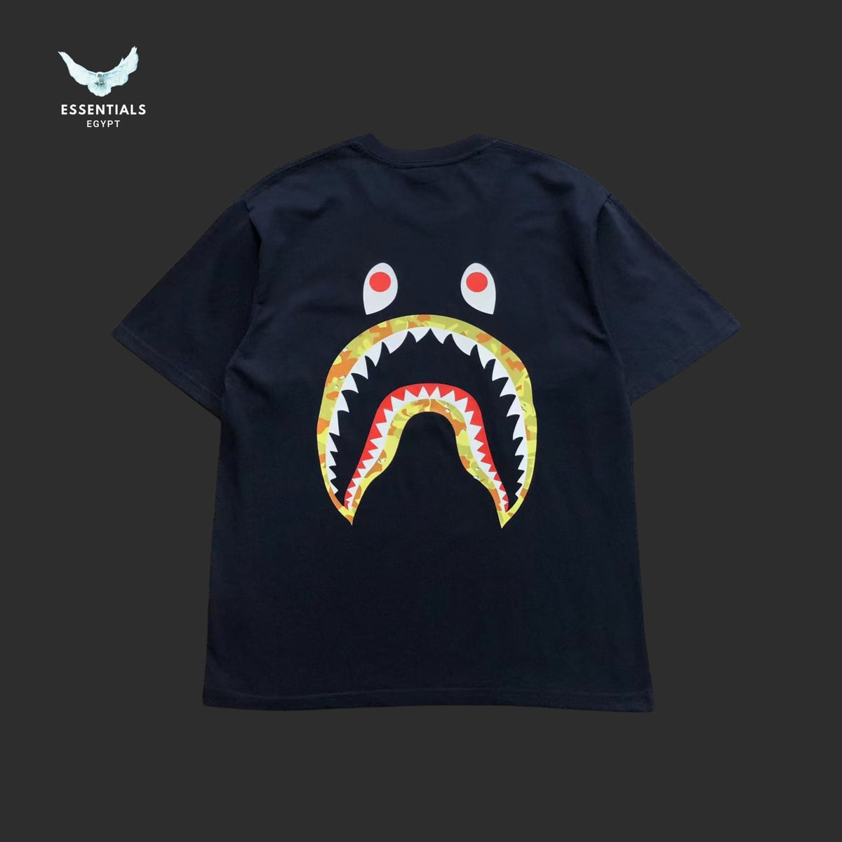 BAPE STUSSY T-SHIRT 3111050221