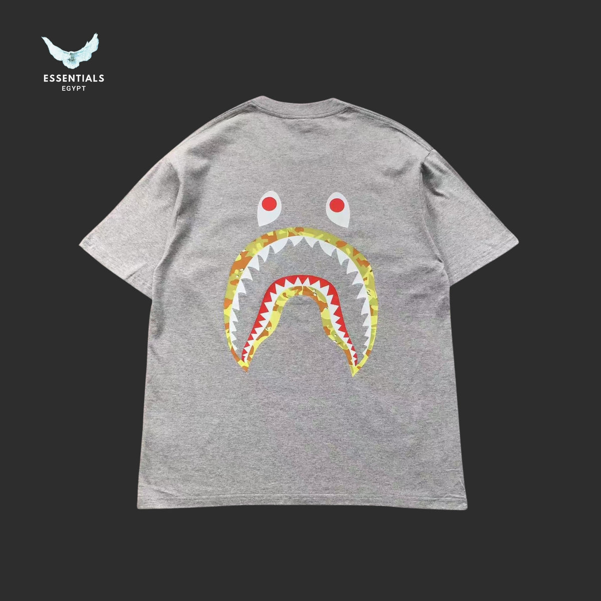BAPE STUSSY T-SHIRT 3111050221