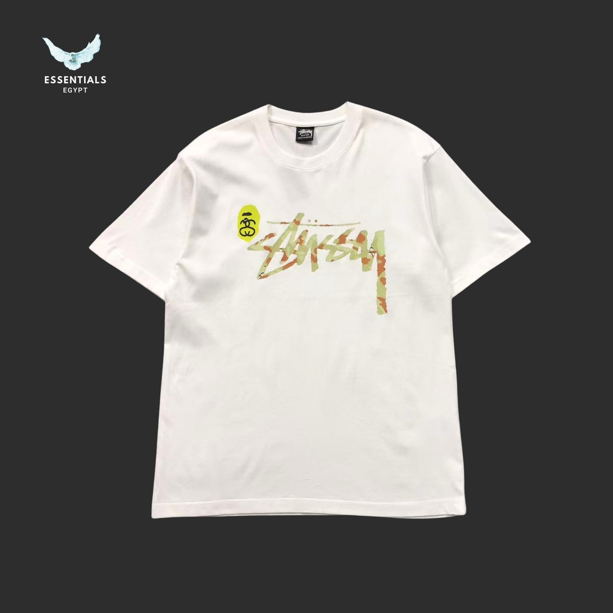 BAPE STUSSY T-SHIRT 3111050221