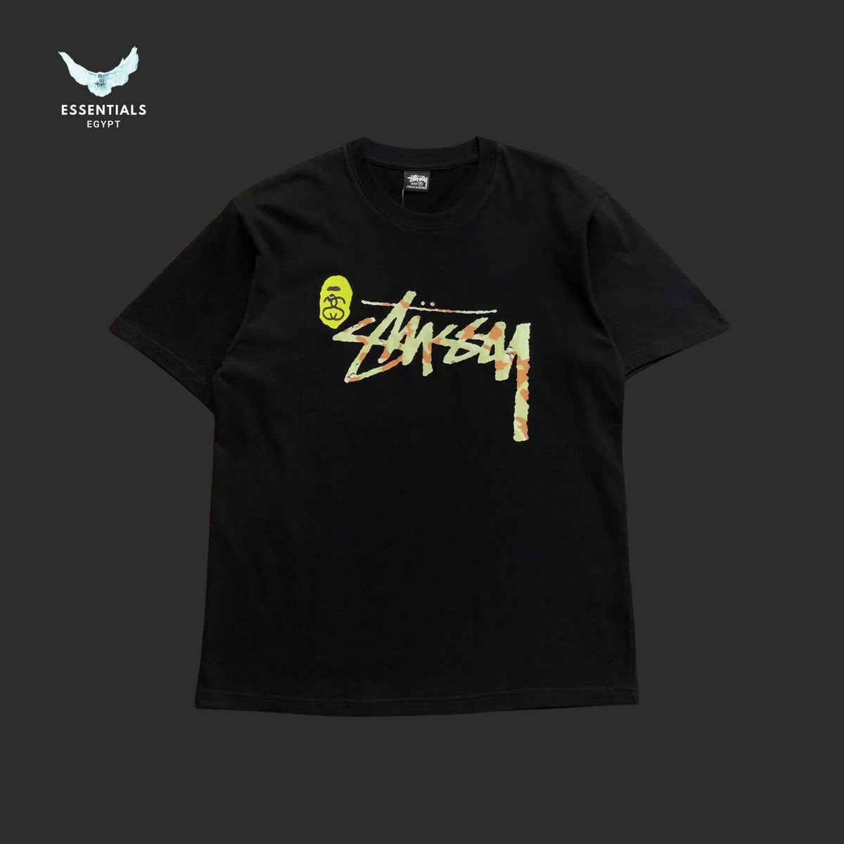 BAPE STUSSY T-SHIRT 3111050221